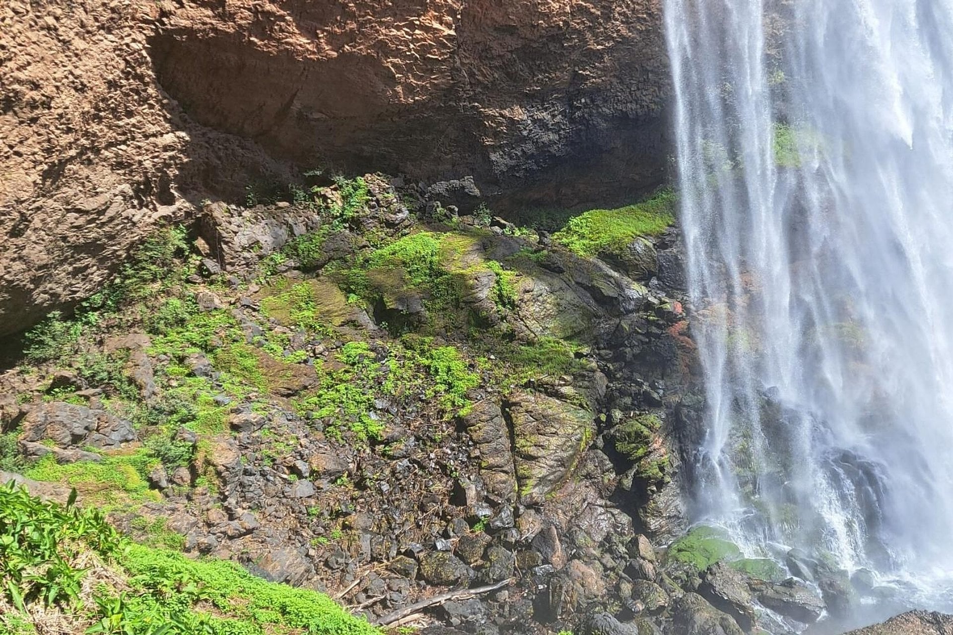 Aventura cultural y natural en Boquete - Imagen 3