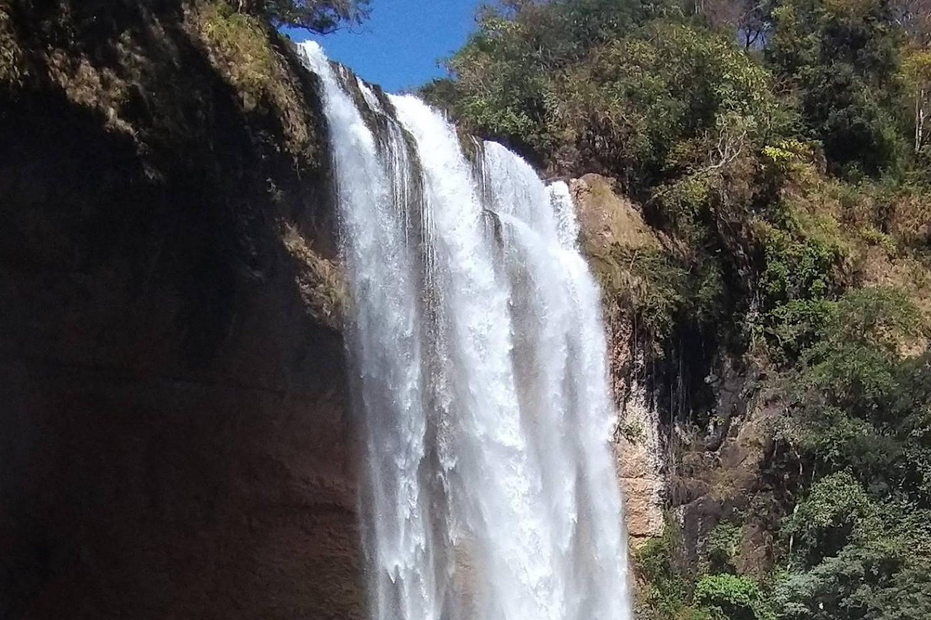 Aventura cultural y natural en Boquete - Imagen 4