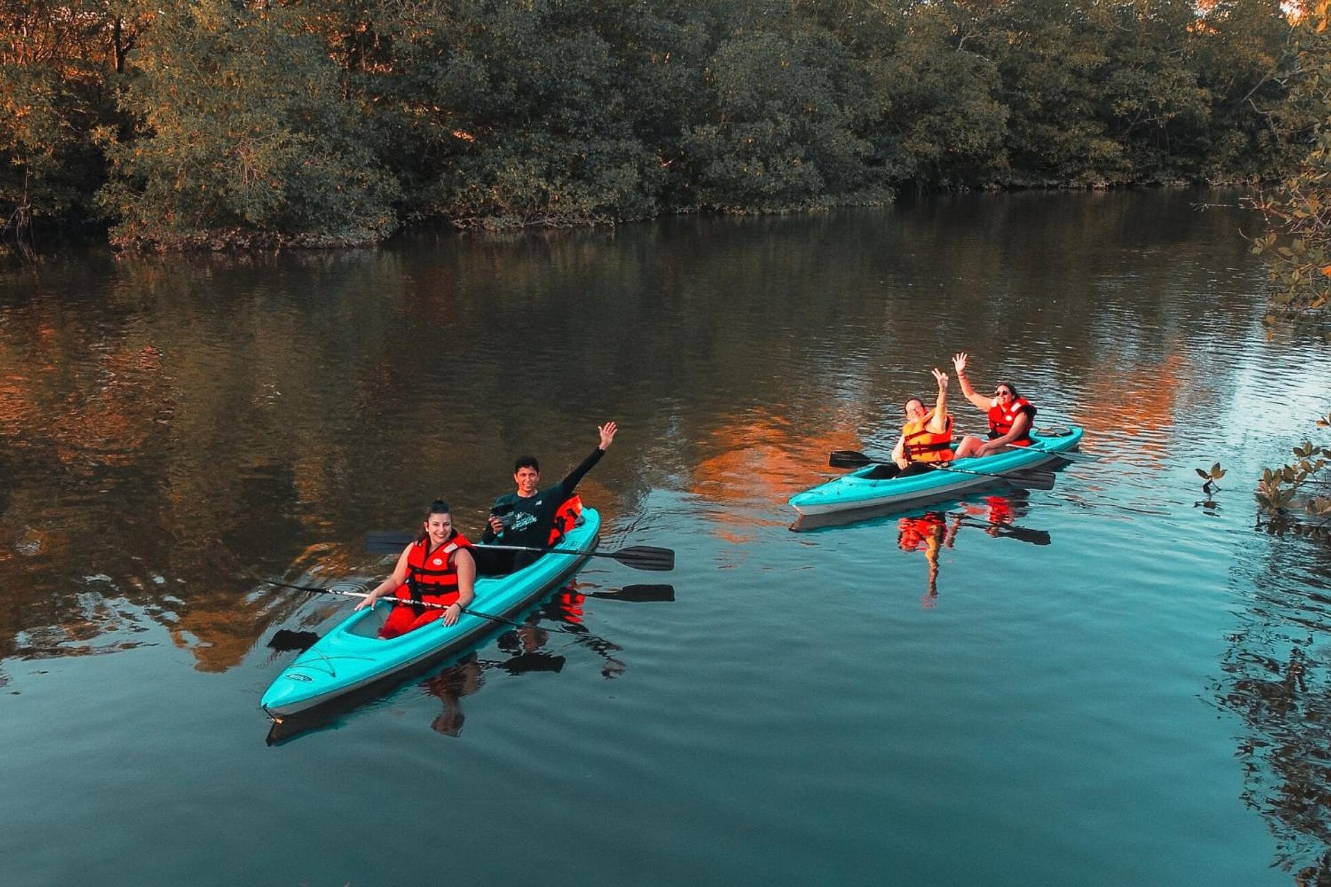 Kayak por manglares en Punta de Tierra - Imagen 4