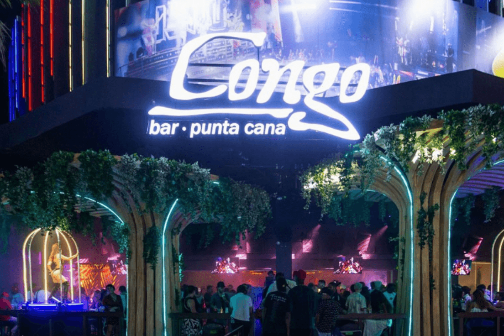 Rumba Punta Cana: bus discoteca y Hard Rock - Imagen 3