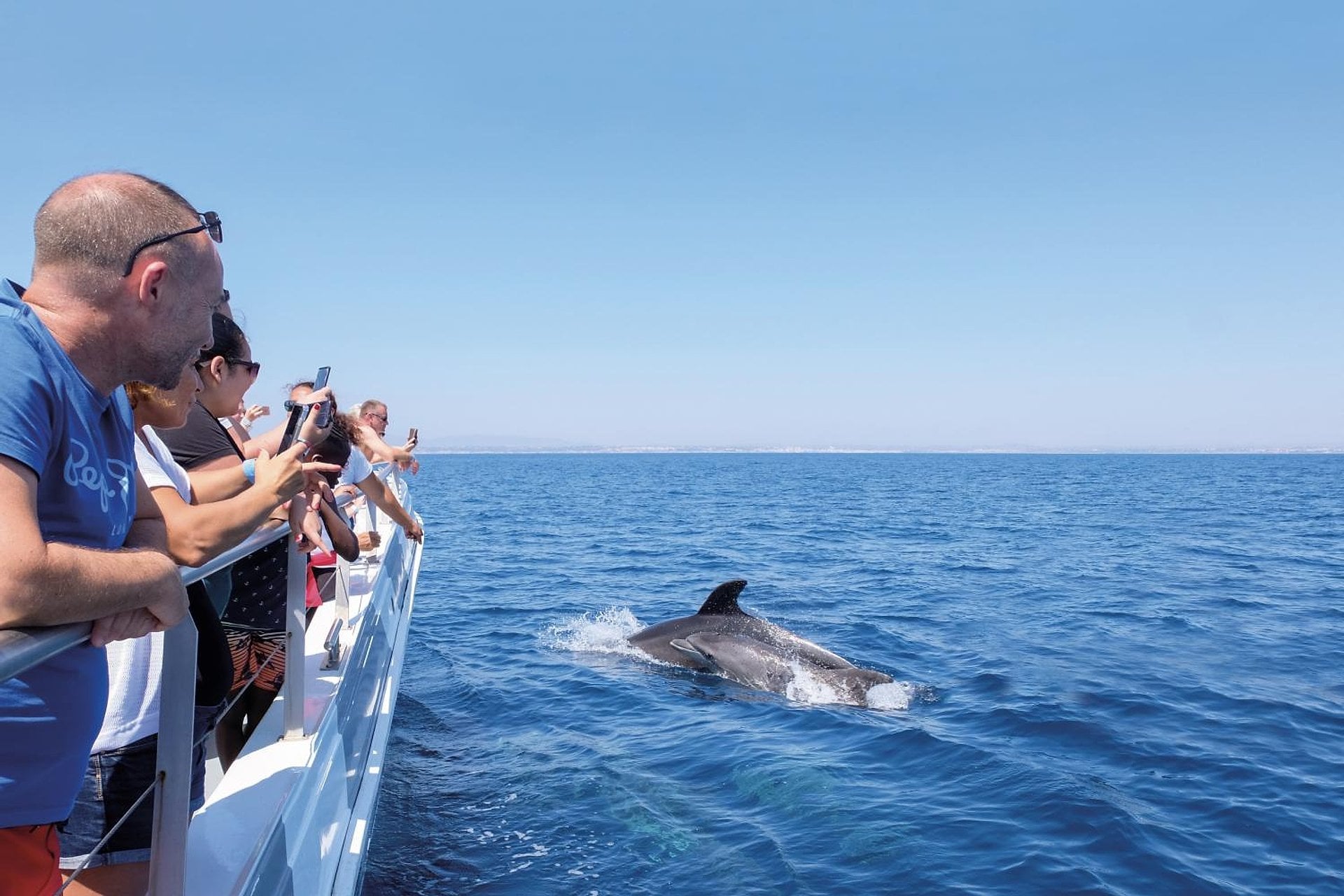 Delfines y Benagil en catamarán - Imagen 2