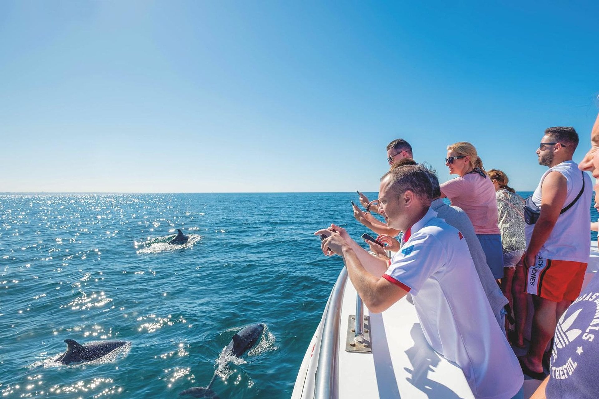 Delfines y Benagil en catamarán - Imagen 4
