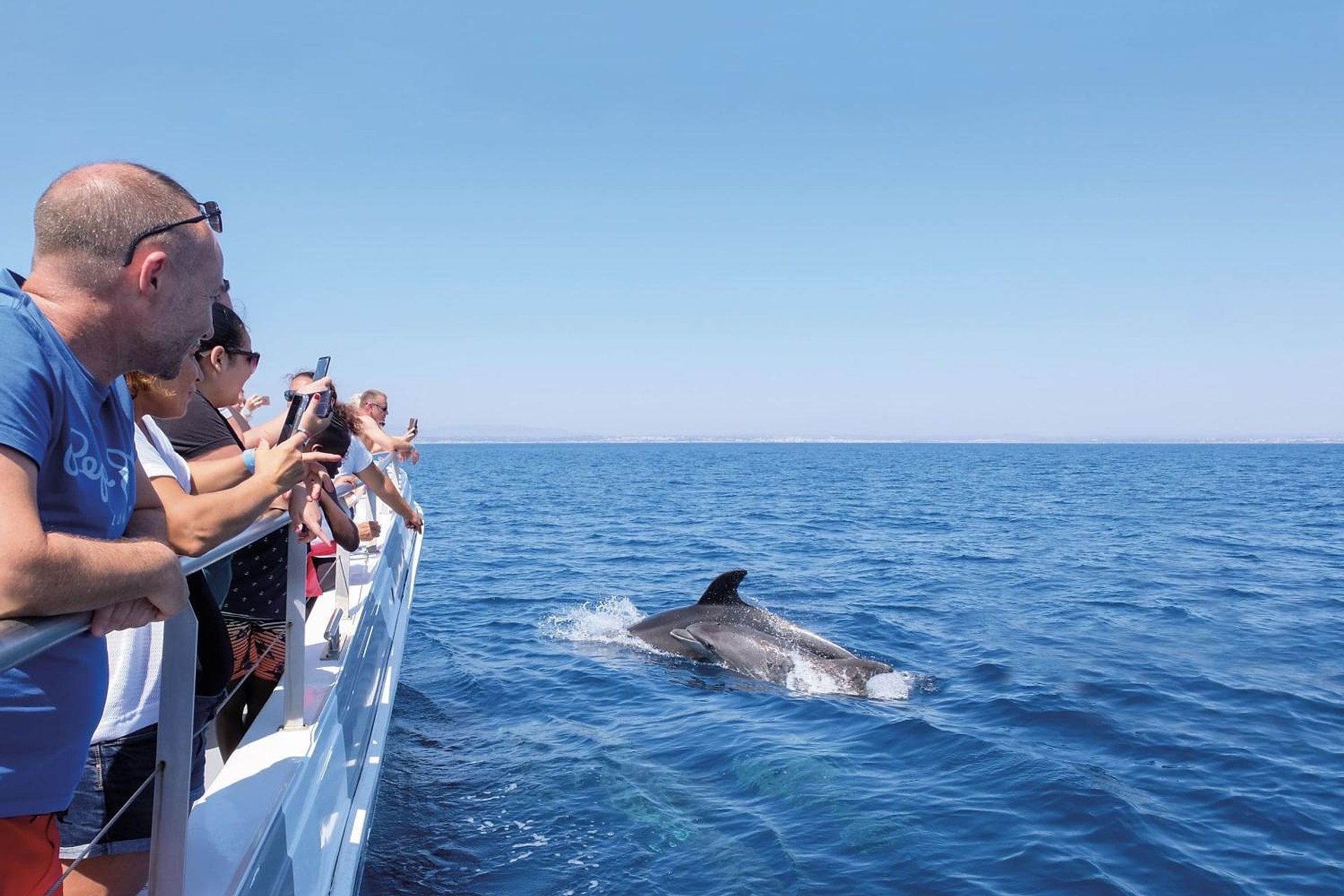 Vilamoura: delfines y Benagil en catamarán - Imagen 2