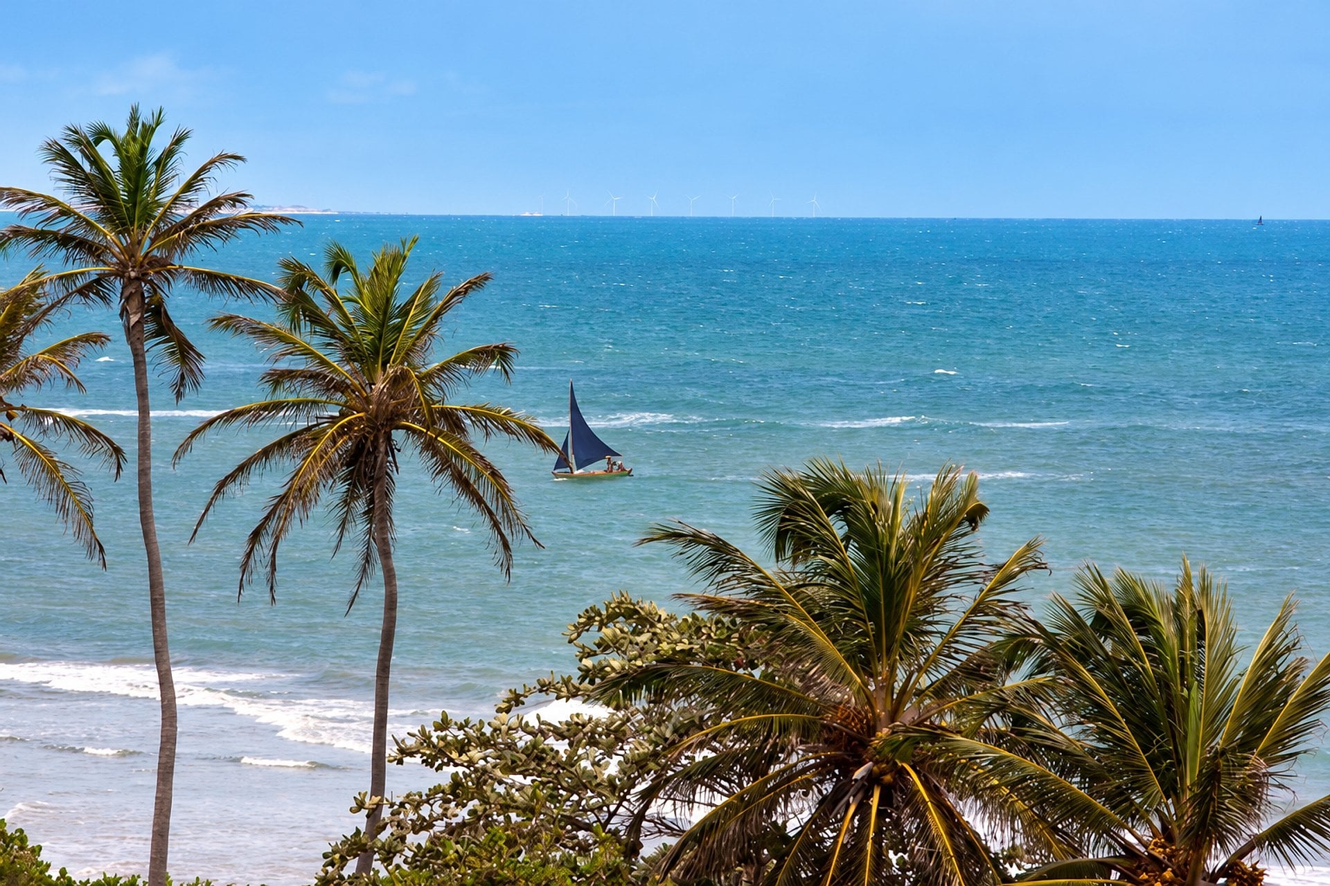Excursión a la playa de Mundaú y Flecheiras - Imagen 2