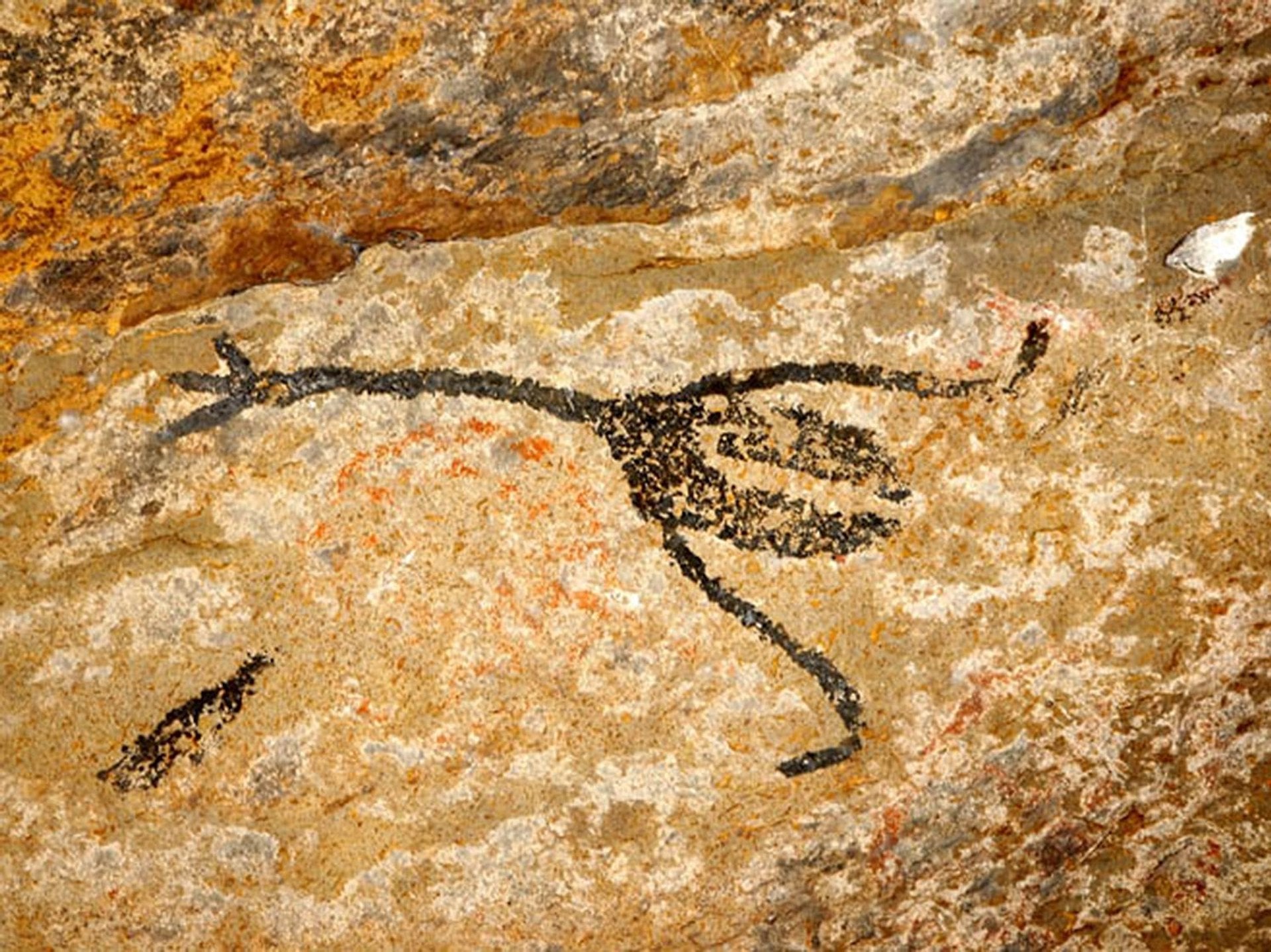 Gruta de Maquiné y Museo Guimarães Rosa - Imagen 4