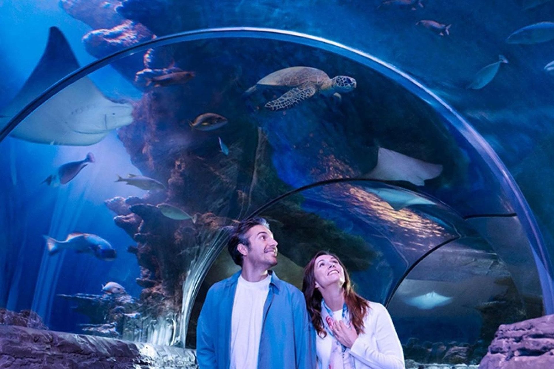 Pase Flex de Londres: 2 a 7 atracciones - Imagen 3