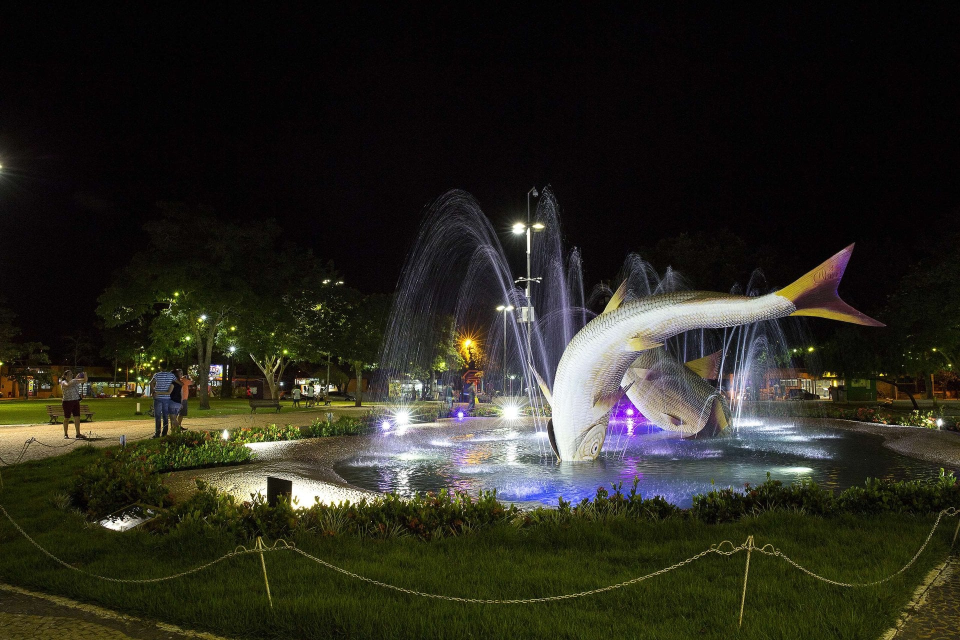 Traslado Aeropuerto Campo Grande/Hotel - Imagen 4