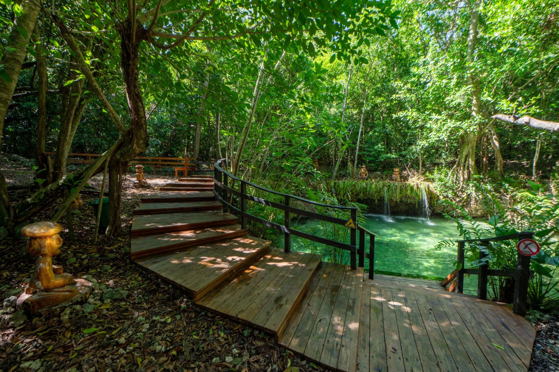 Wild en el Caribe con reserva y cenote - Imagen 3