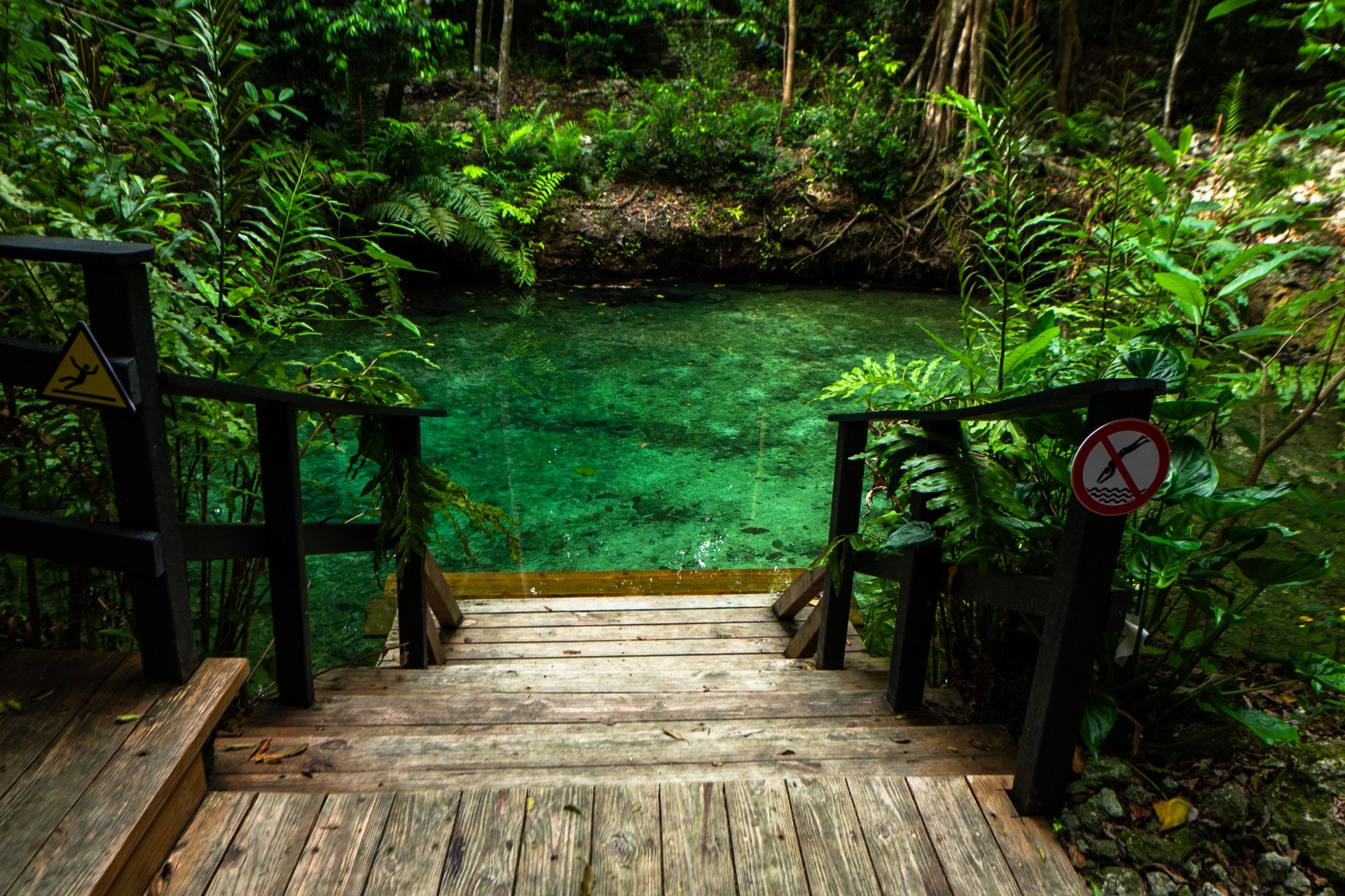 Wild en el Caribe con reserva y cenote - Imagen 4