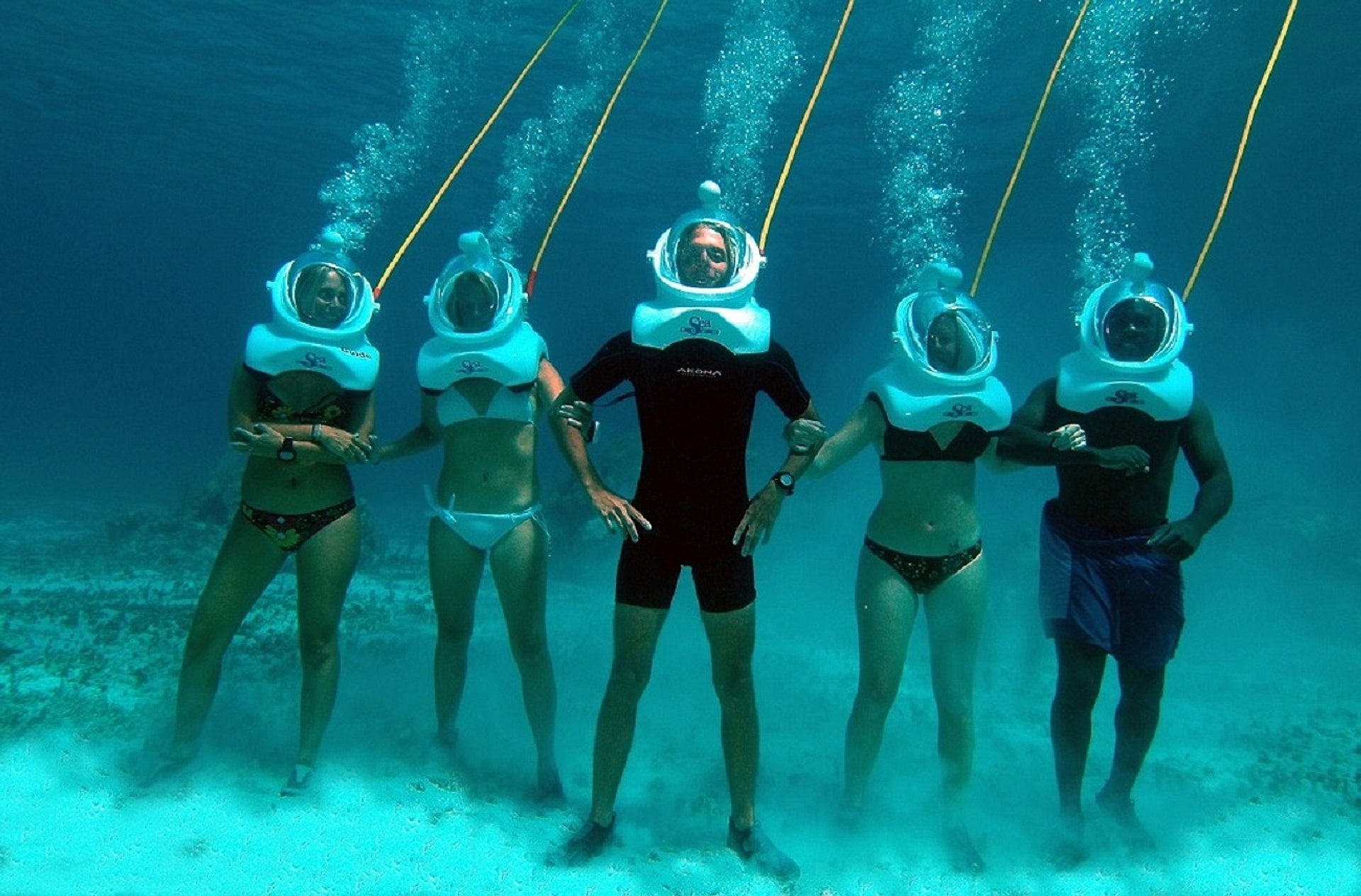 Acuario divertido desde Punta Cana - Imagen 2