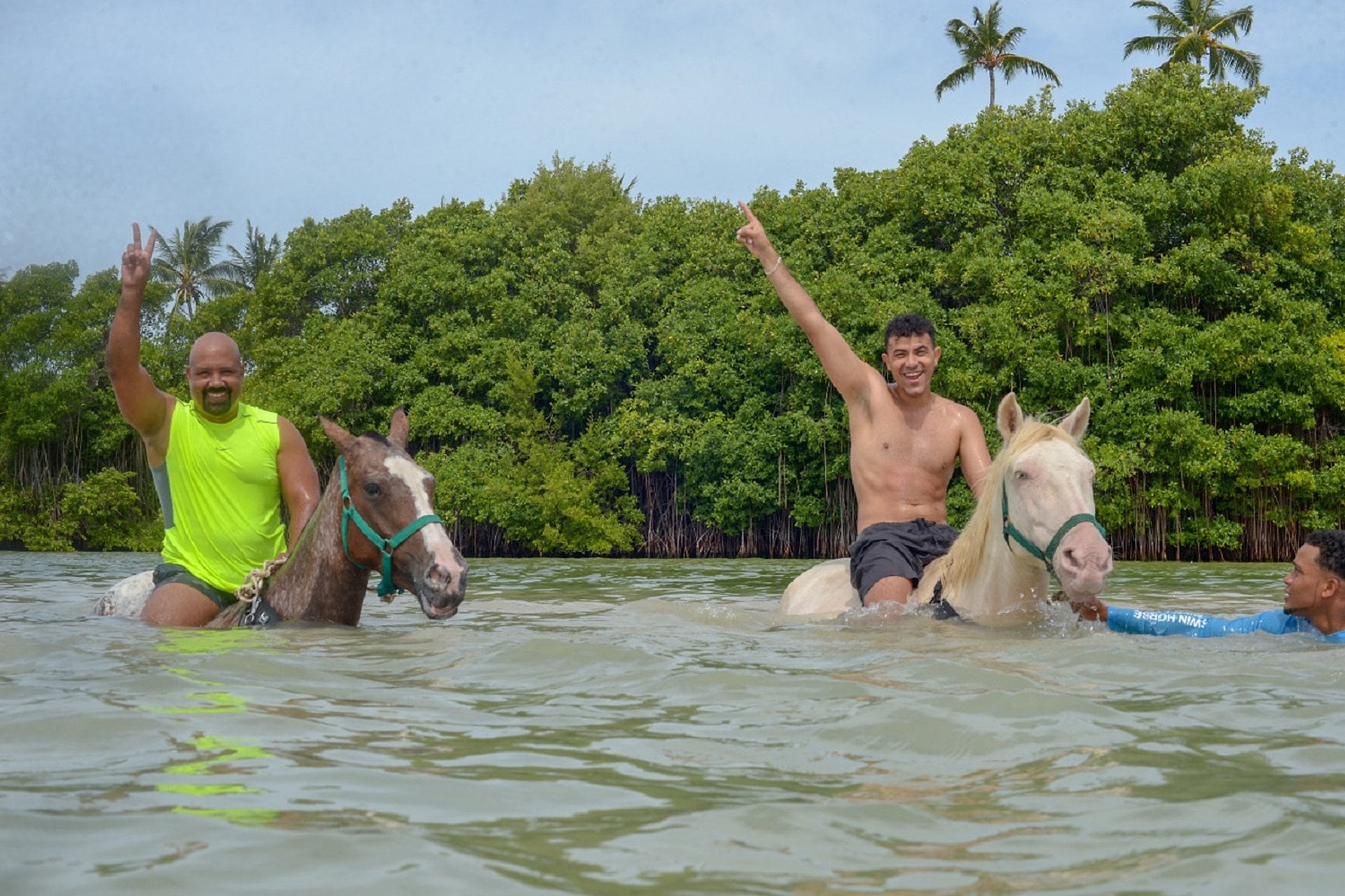 Nado con caballos en la playa - Imagen 4