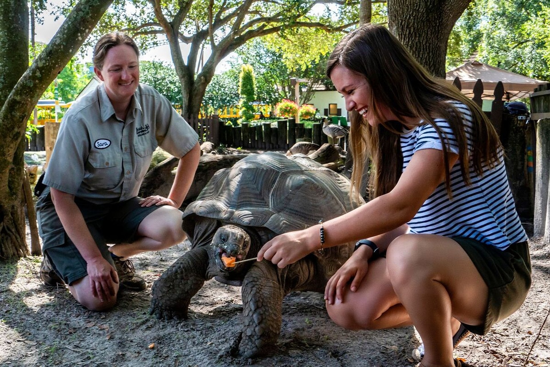 Parque Busch Gardens Tampa - Tickets - Imagen 3