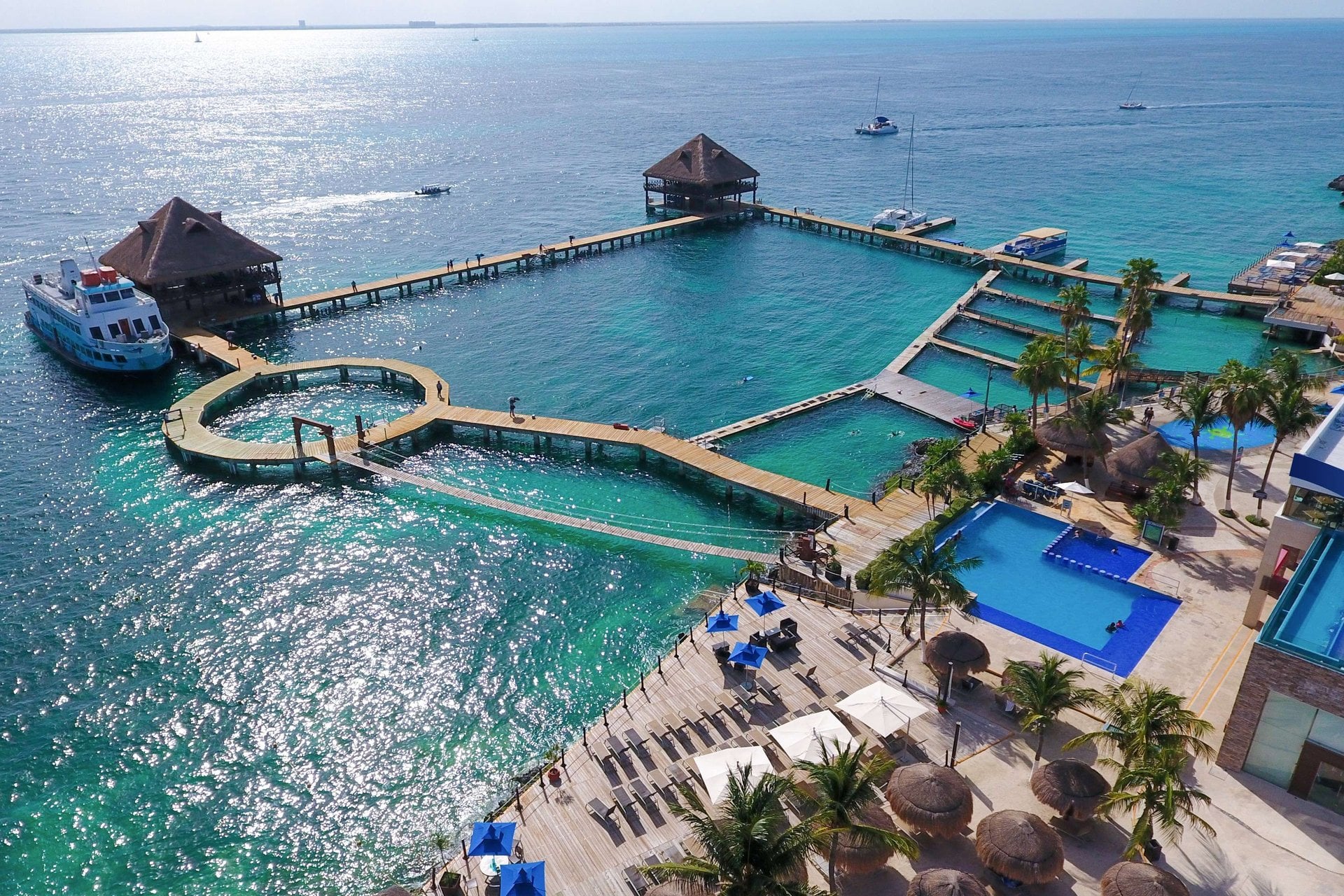 Encuentro con Delfines en Isla Mujeres - Imagen 3