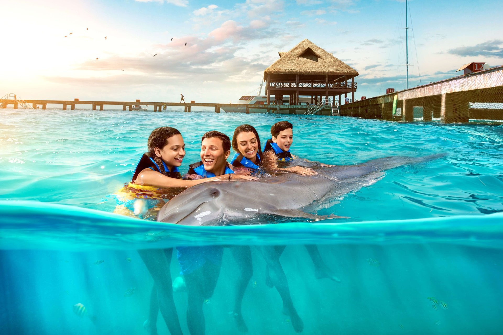 Encuentro con Delfines en Isla Mujeres - Imagen 4