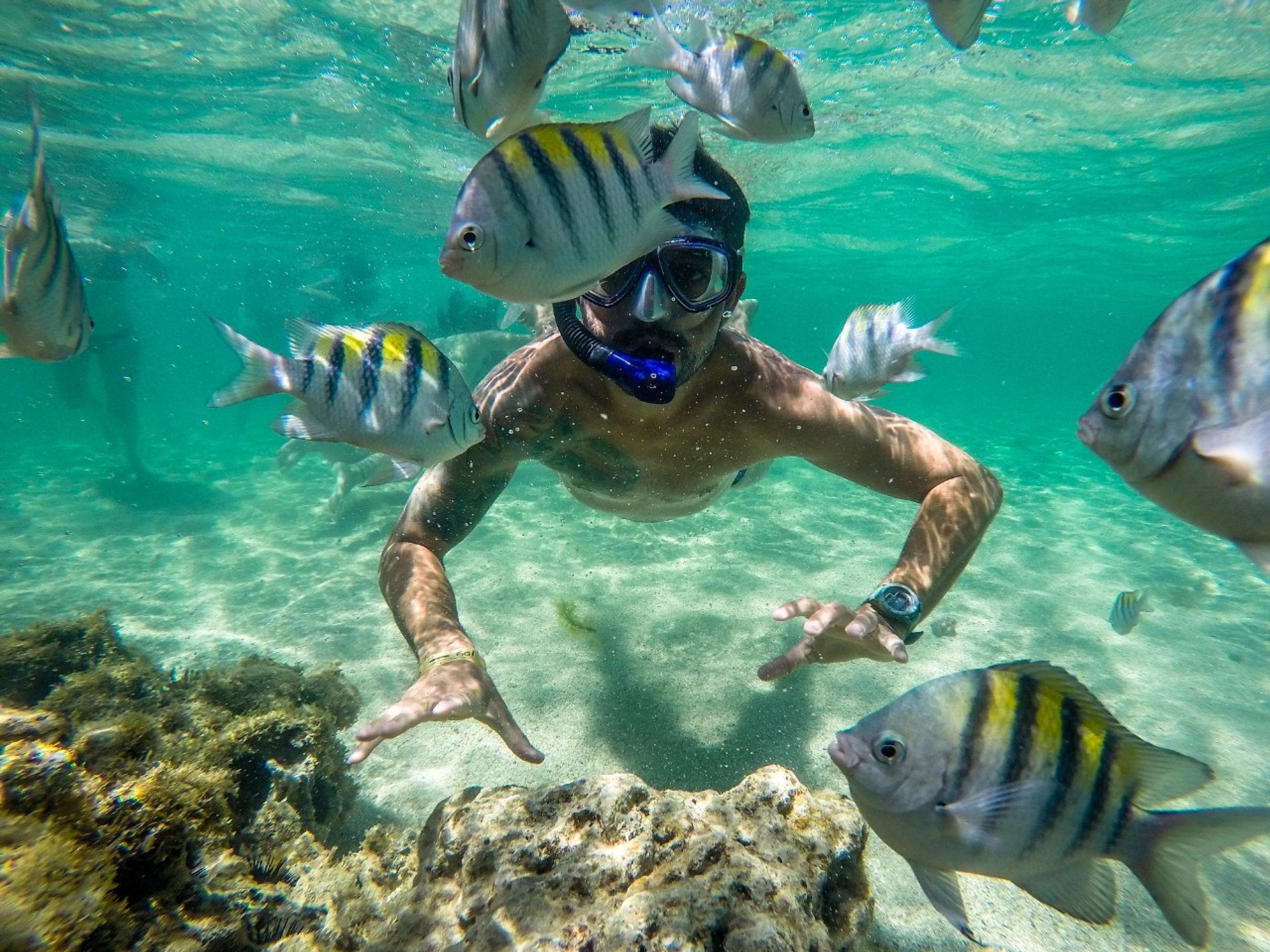 Excursión de un día a la playa de Paripueira - Imagen 3