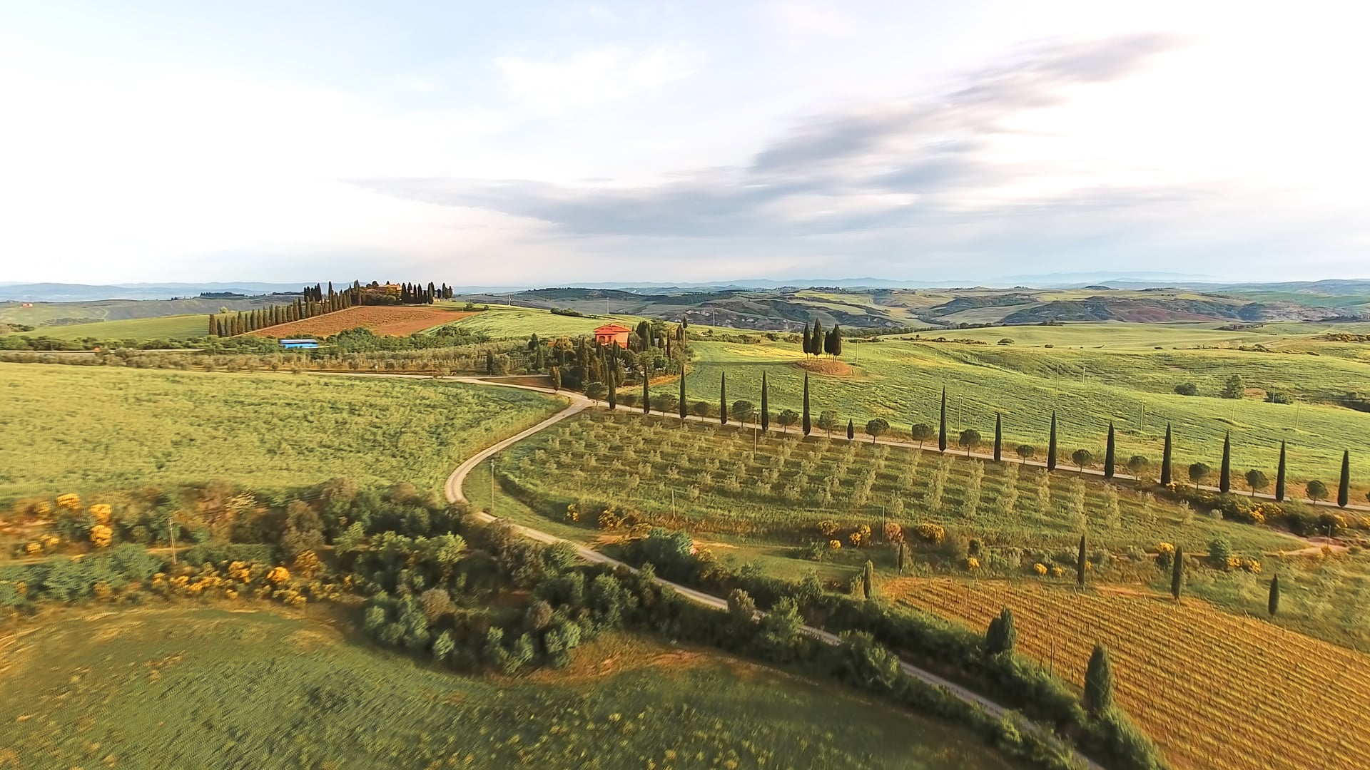 Siena, S. Gimignano y Pisa en bus con guía - Imagen 4