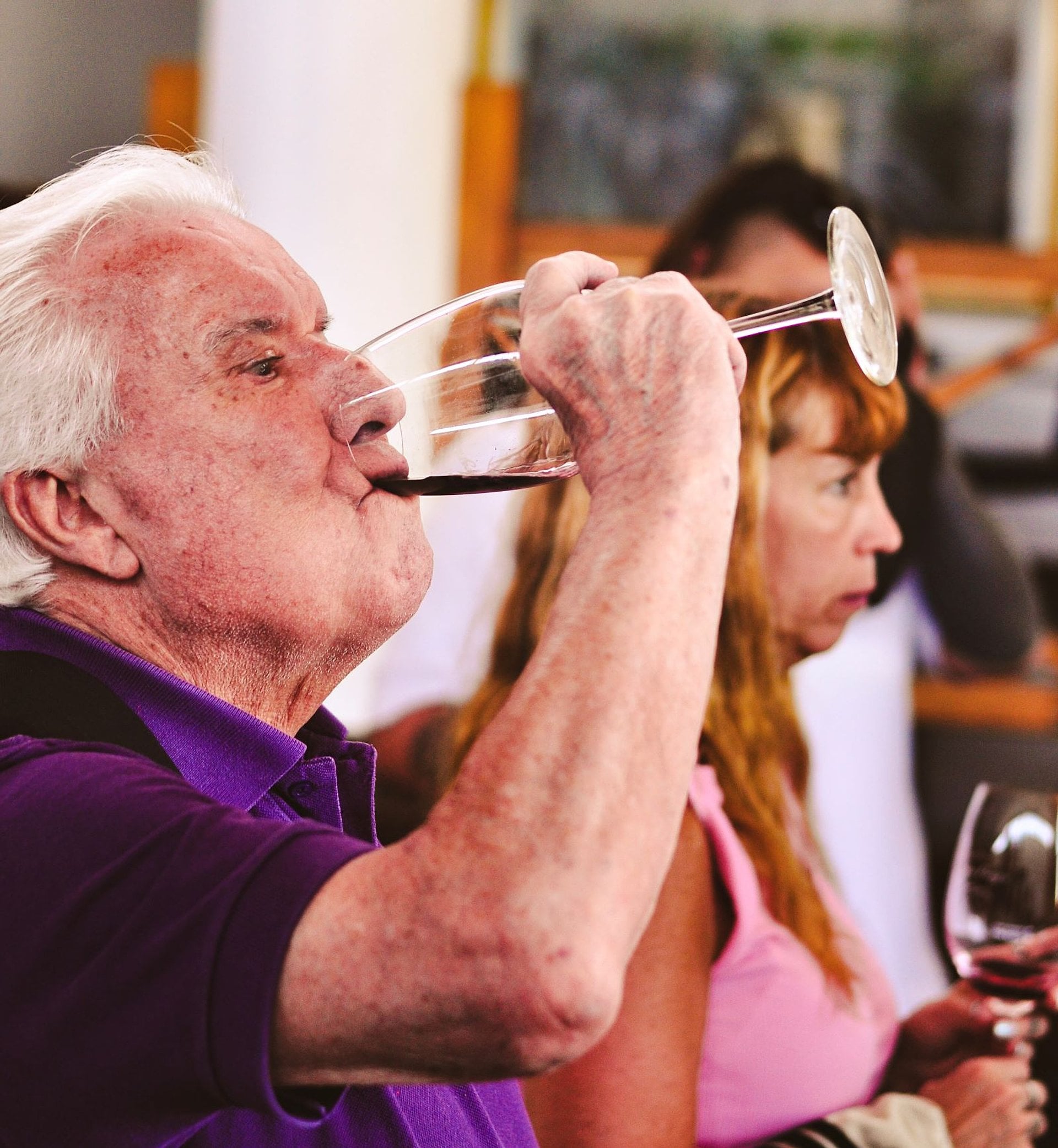 Valle de Uco: vino, cultura e historia - Imagen 4