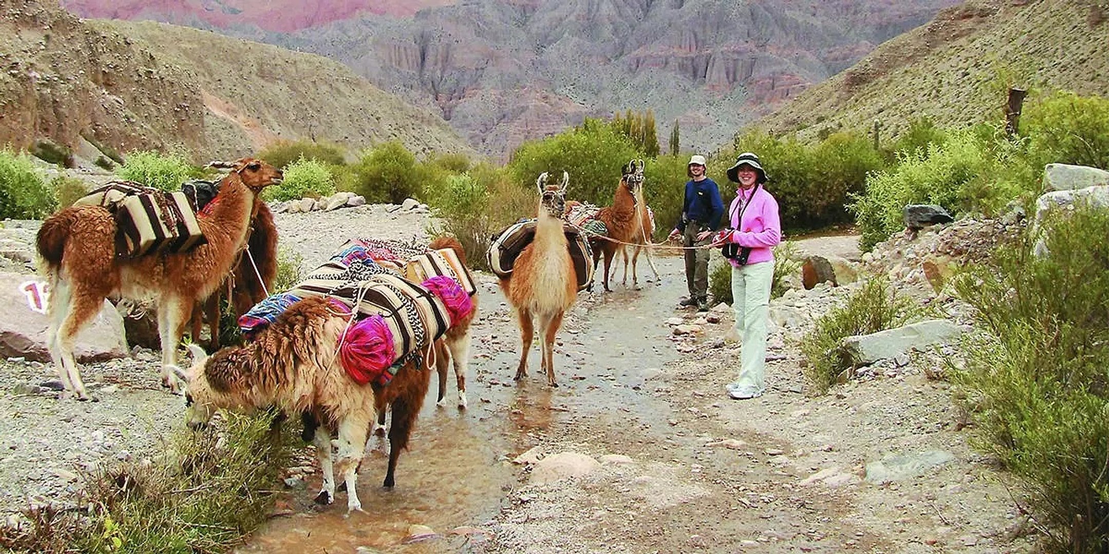 Caminata con Llamas desde Purmamarca - Imagen 4