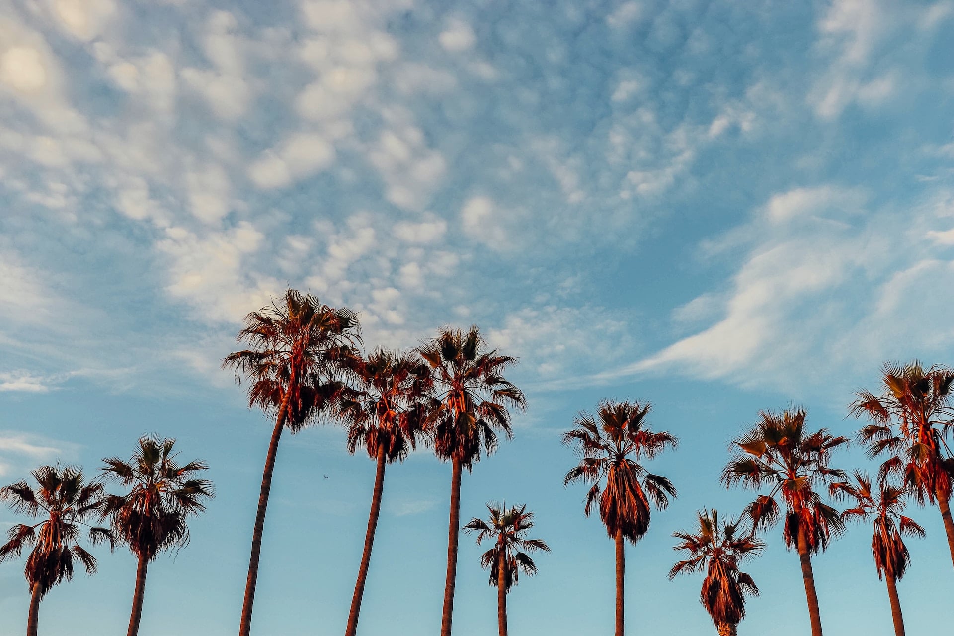 Visita a la ciudad de Los Ángeles - Imagen 4