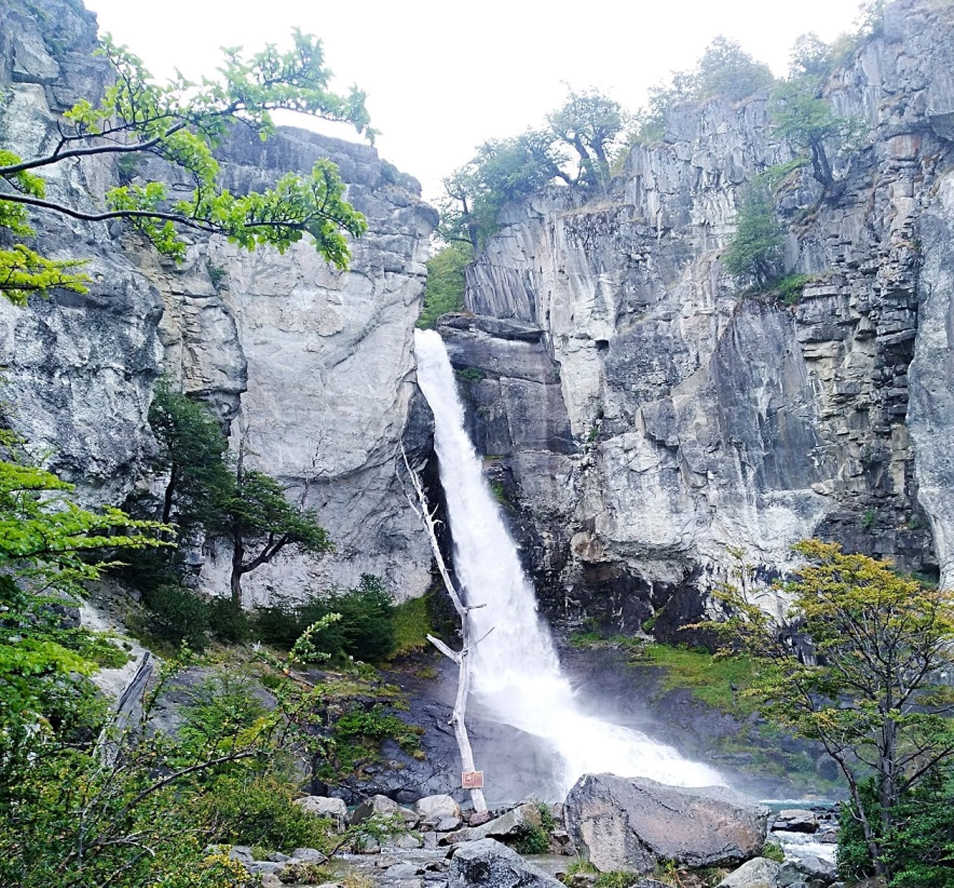 Excursión de día completo a El Chaltén - Imagen 3