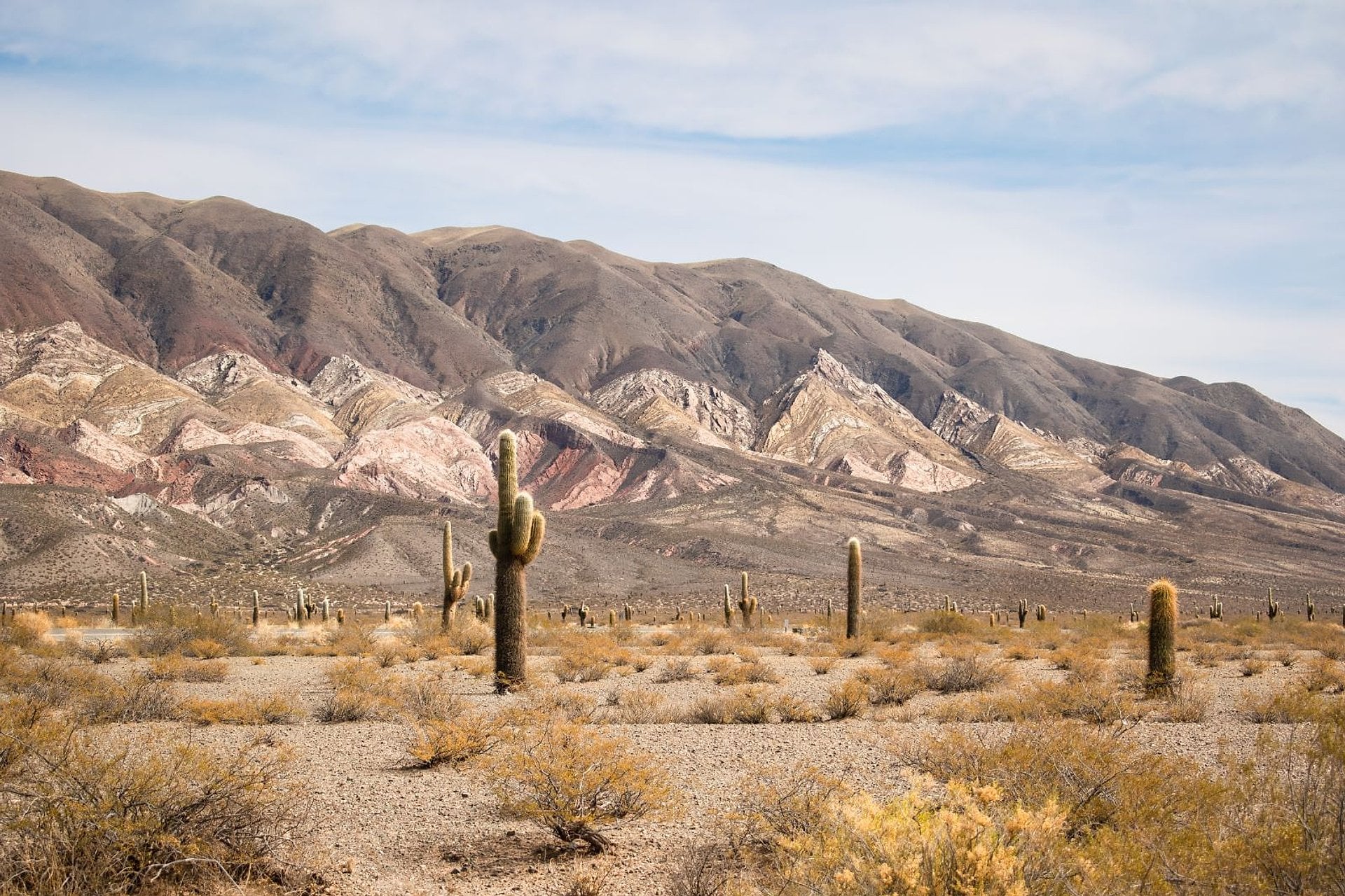Cafayate, Cachi, Salinas Grandes y traslados - Imagen 2