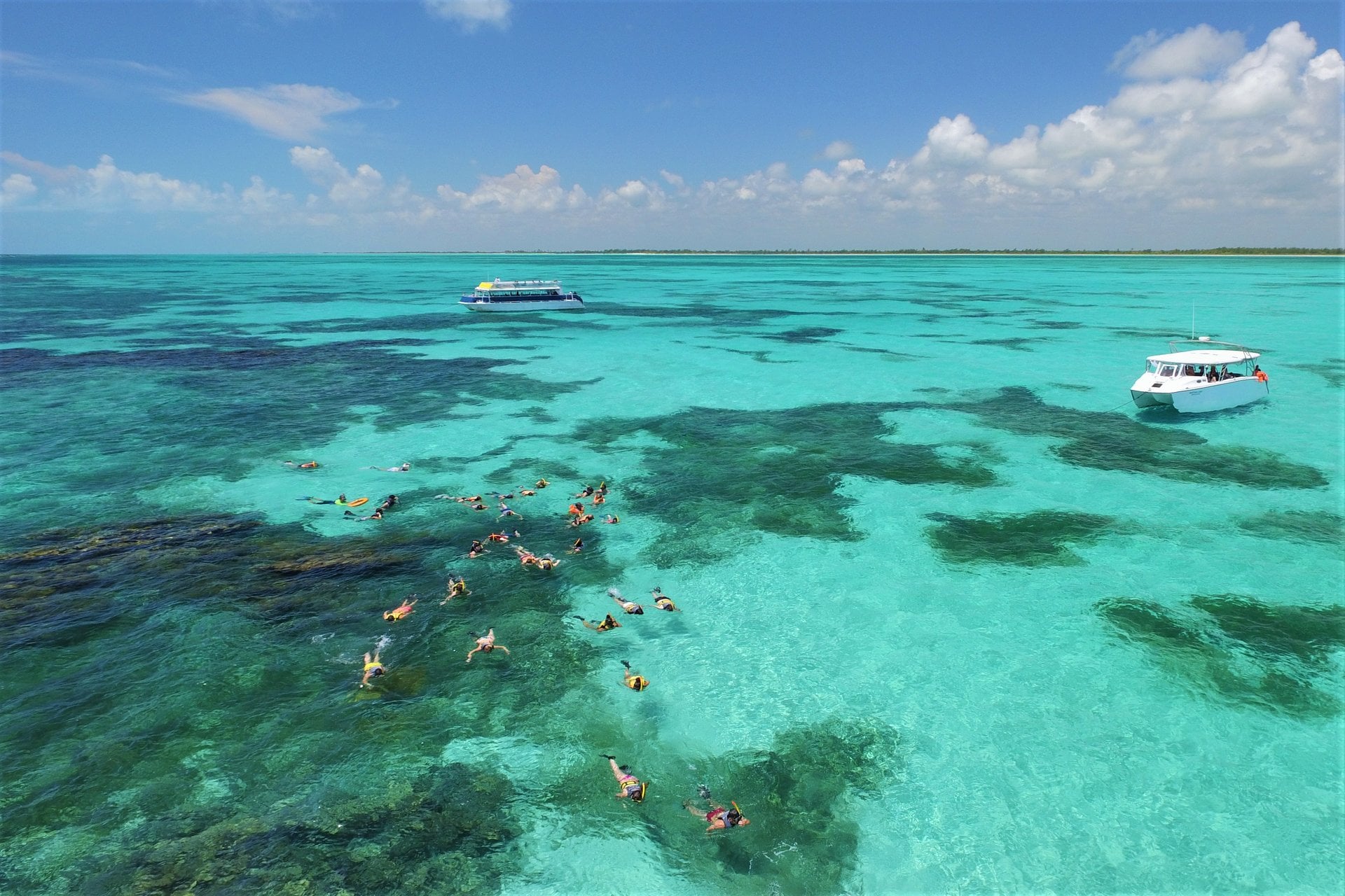 Tour Experiencia Isla Contoy - Imagen 2