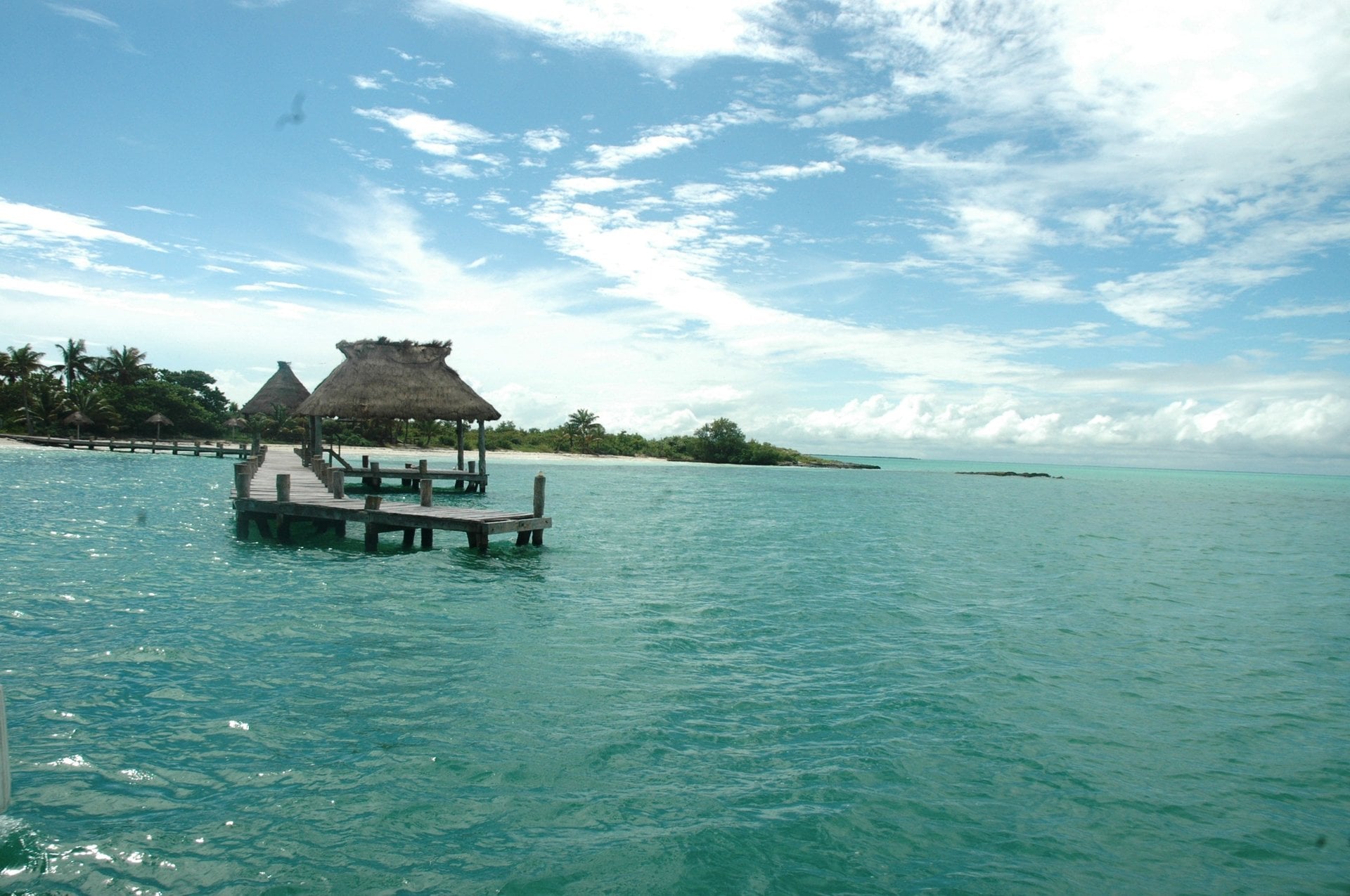 Tour Experiencia Isla Contoy - Imagen 3