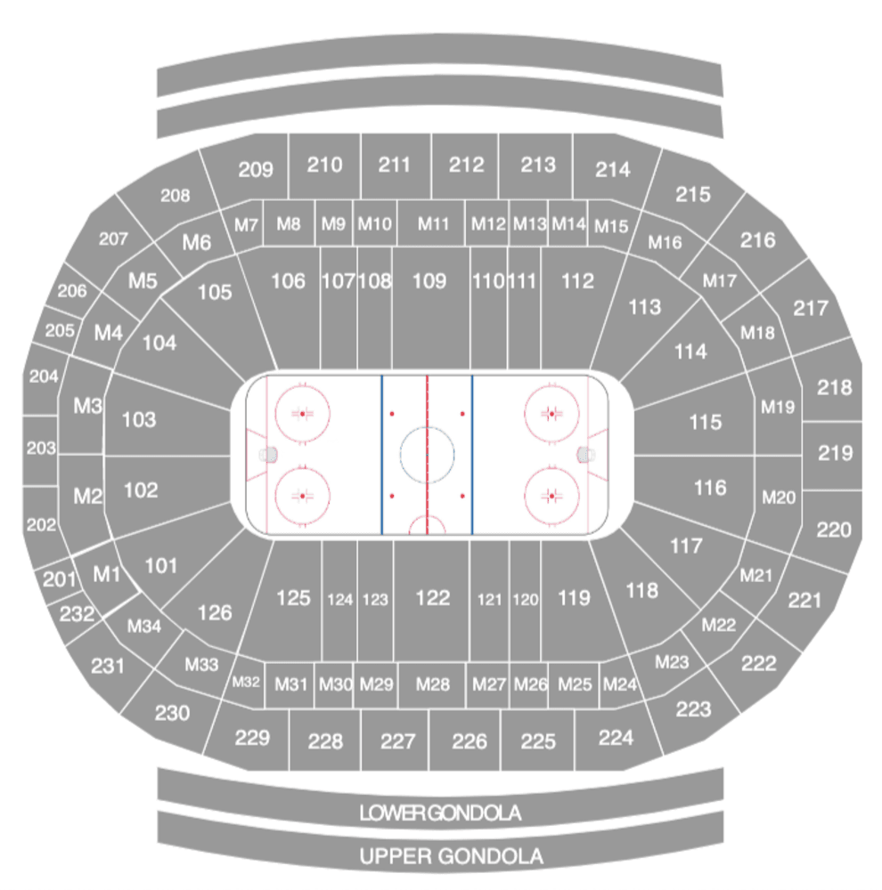 Hockey sobre hielo: Detroit Red Wings - Imagen 3