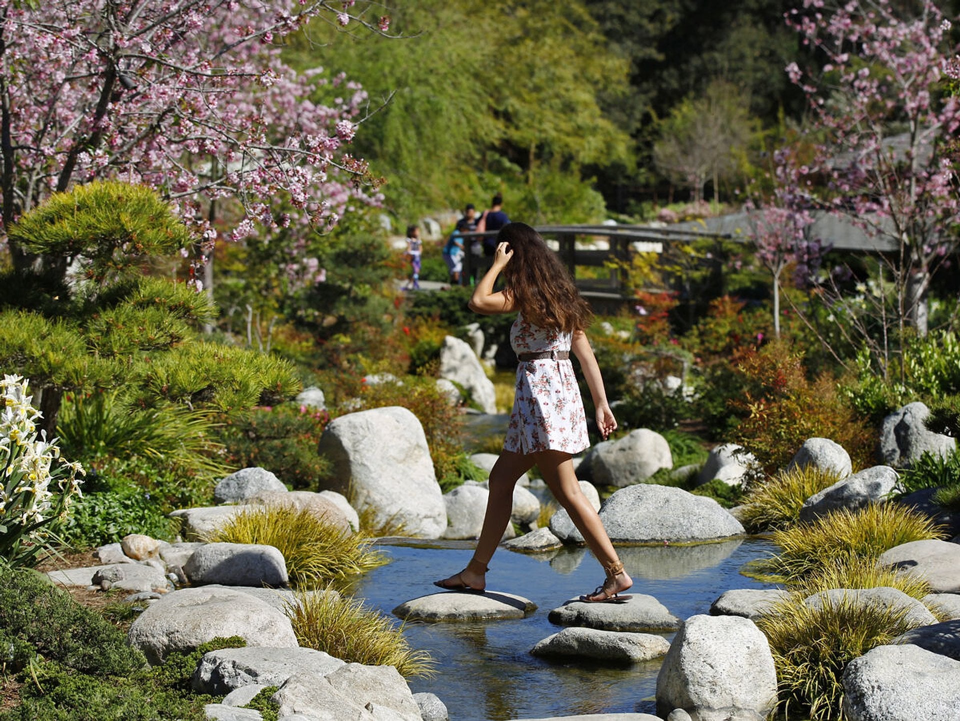 Go City San Diego Explorer Pass - Imagen 4
