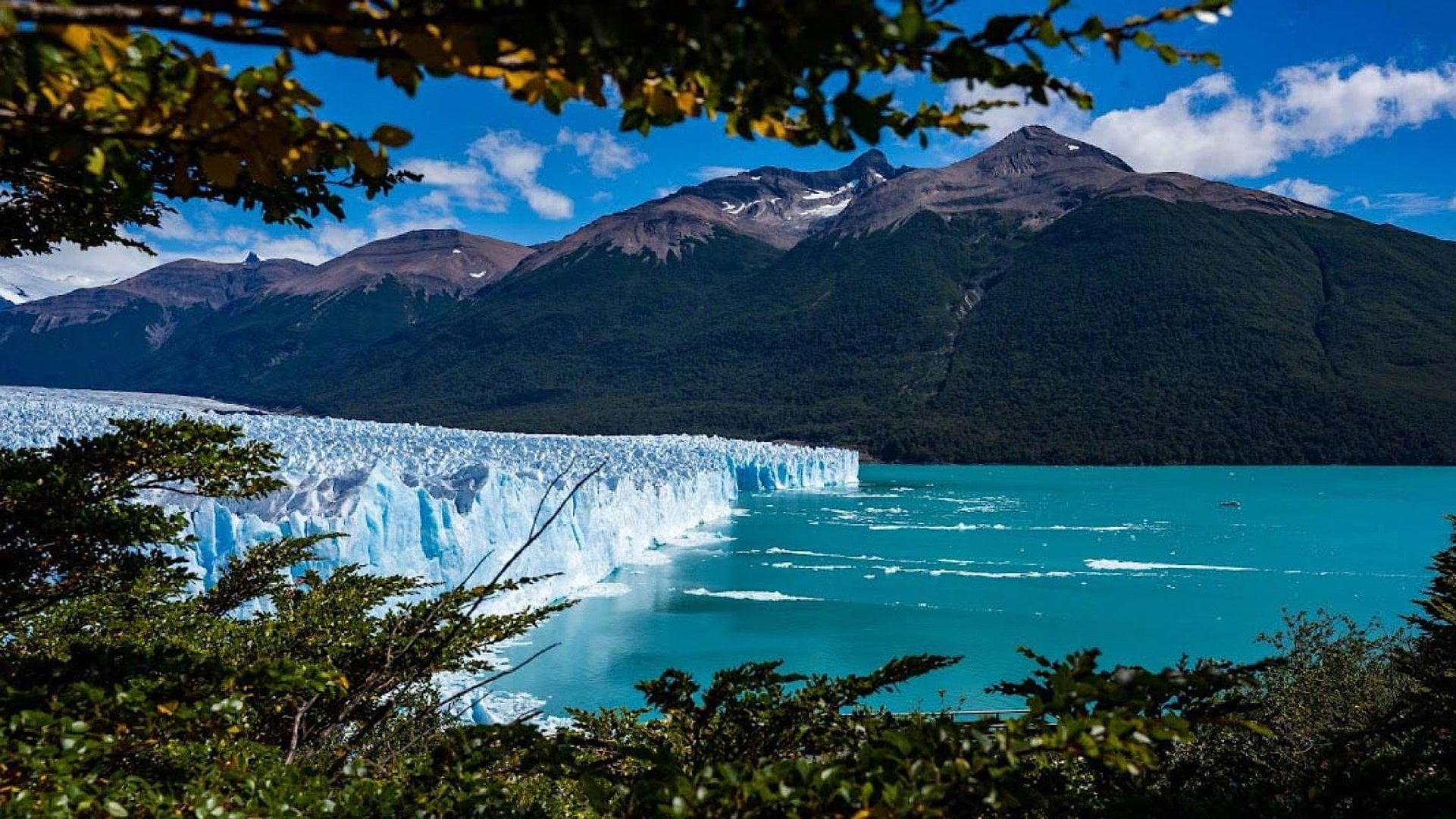 Perito Moreno + traslados in/out - Imagen 4