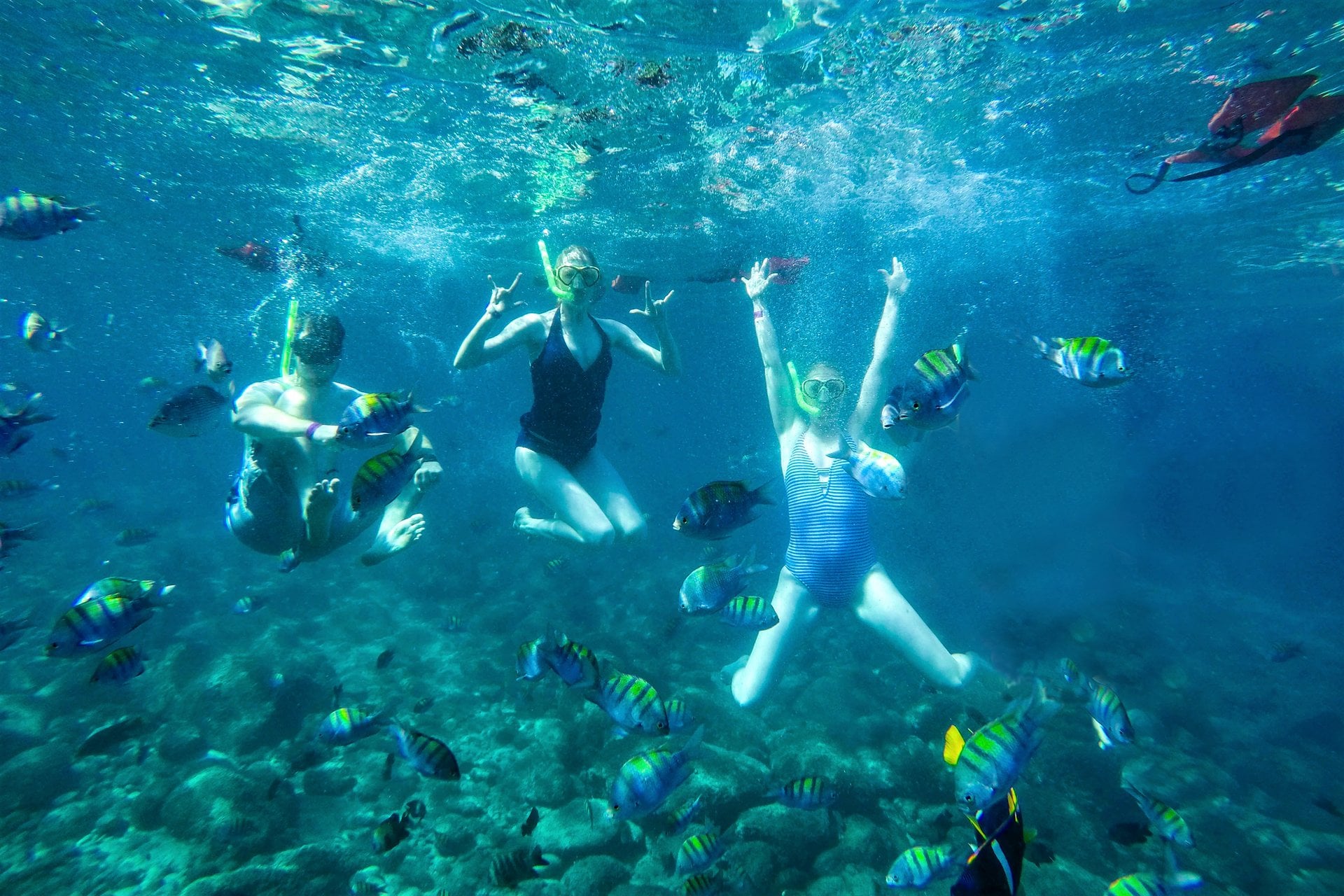 Tour a Yelapa y Majahuitas - Imagen 4