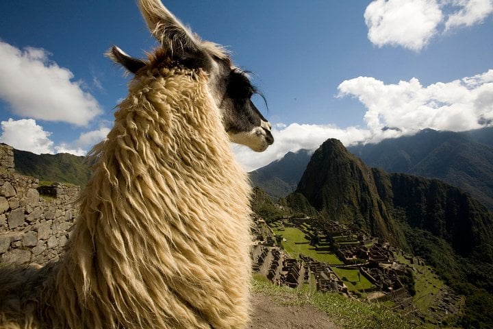 Machu Picchu en un día desde Valle Sagrado - Imagen 4