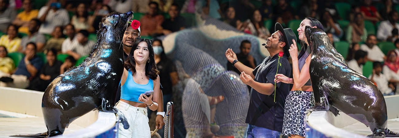 Dubai Dolphinarium: show de delfines y focas - Imagen 3