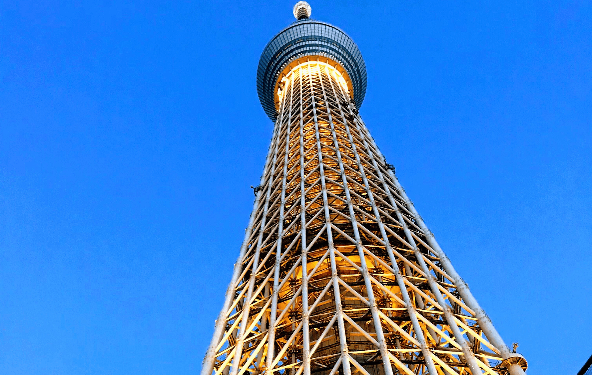 Skytree Enjoy Pack y metro de Tokio 24 h - Imagen 3