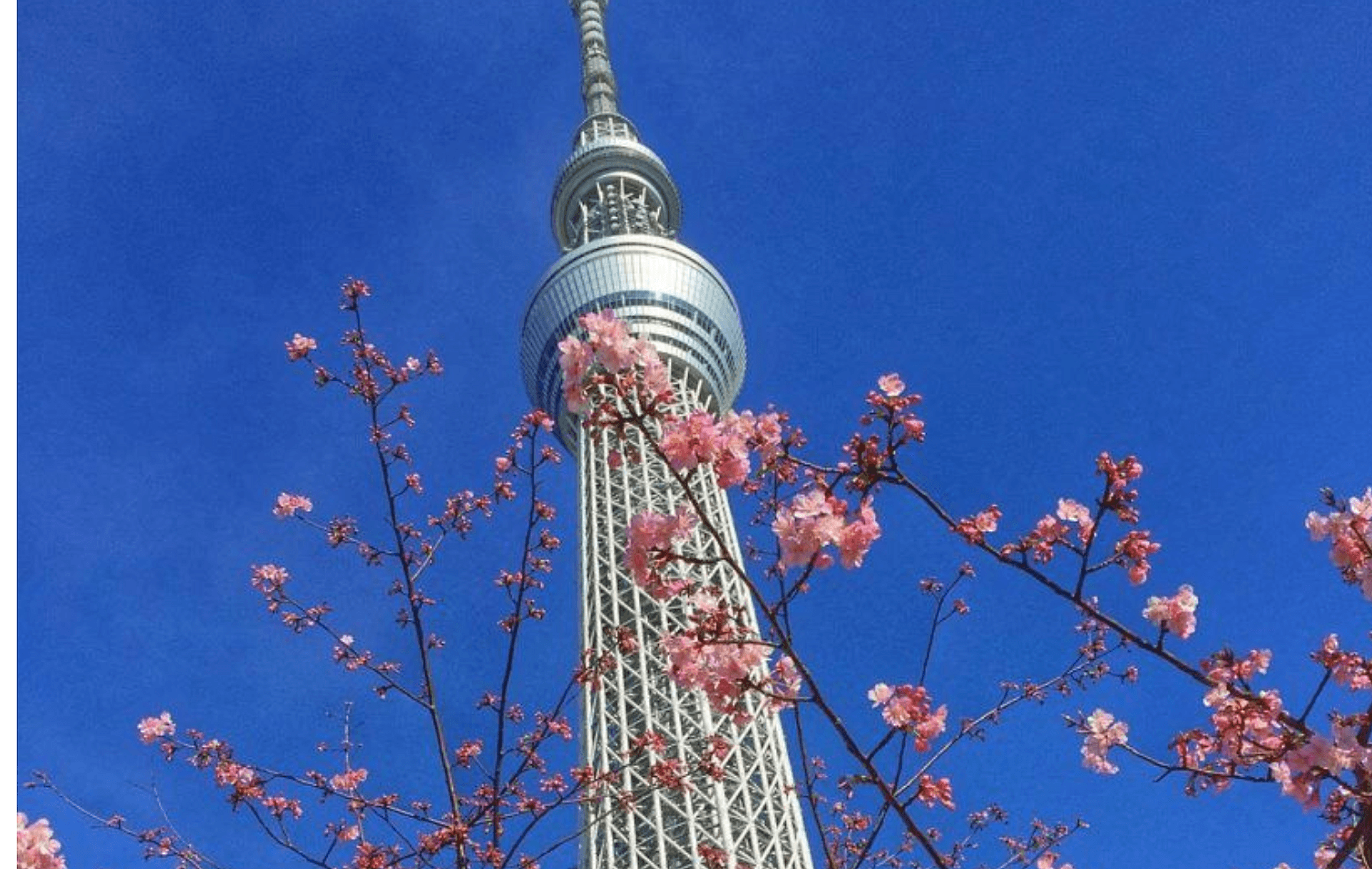 Skytree Enjoy Pack y metro de Tokio 24 h - Imagen 2
