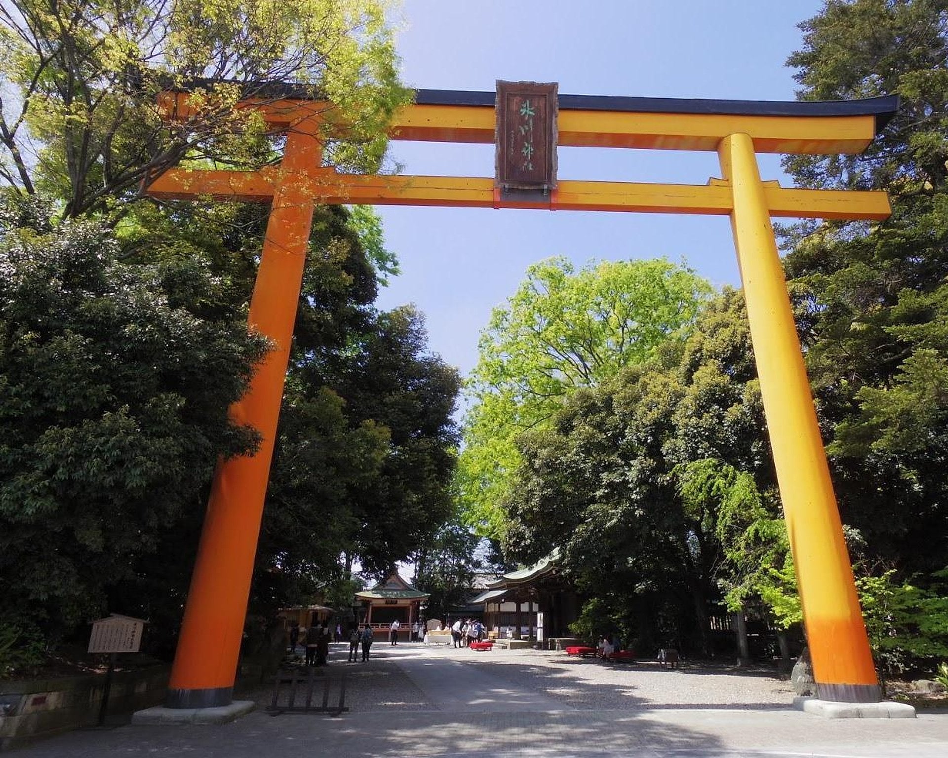Pase de tren Seibu-Kawagoe ida y vuelta - Imagen 3