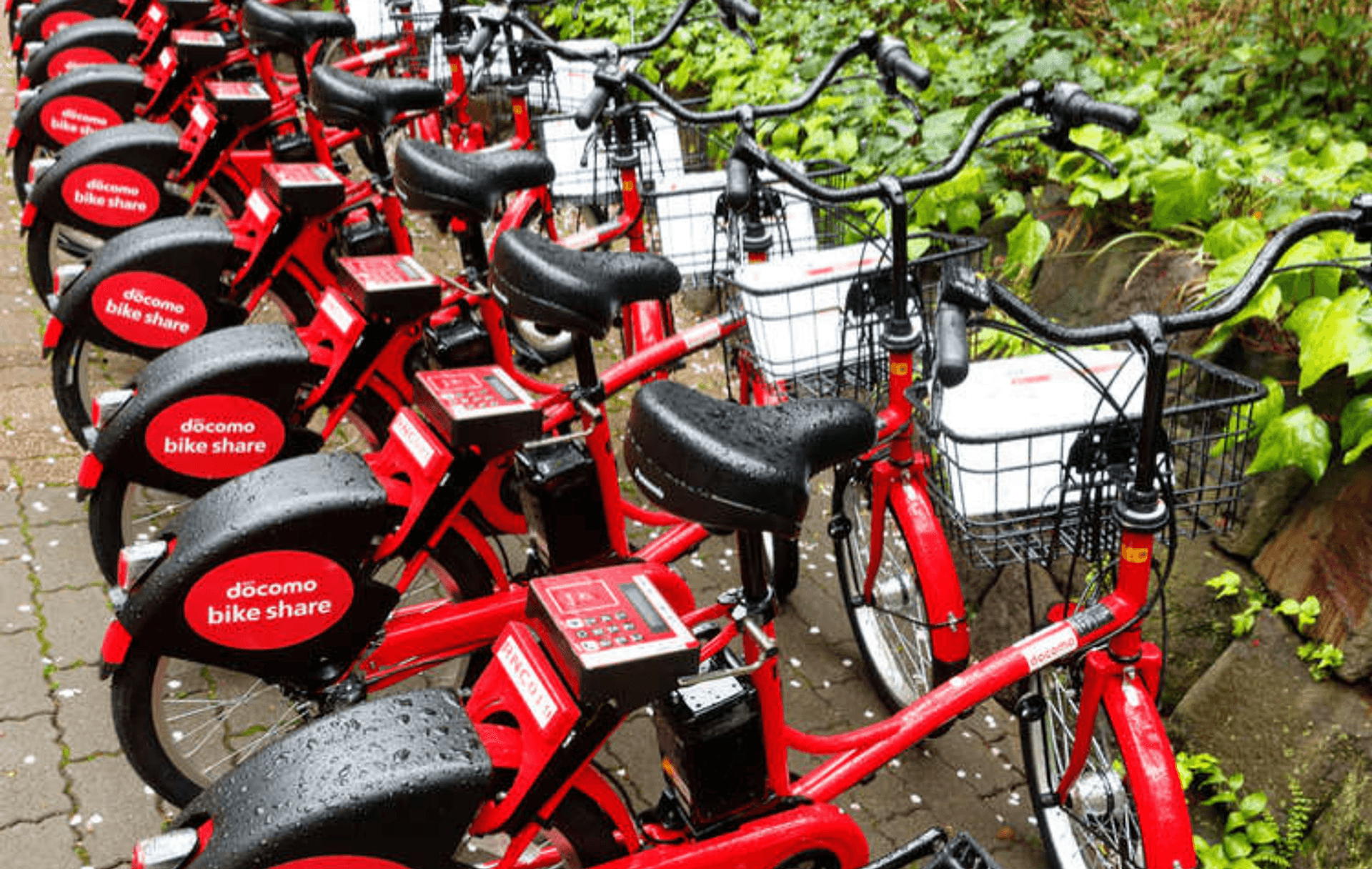 Tour en bicicleta eléctrica por Tokio - Imagen 4