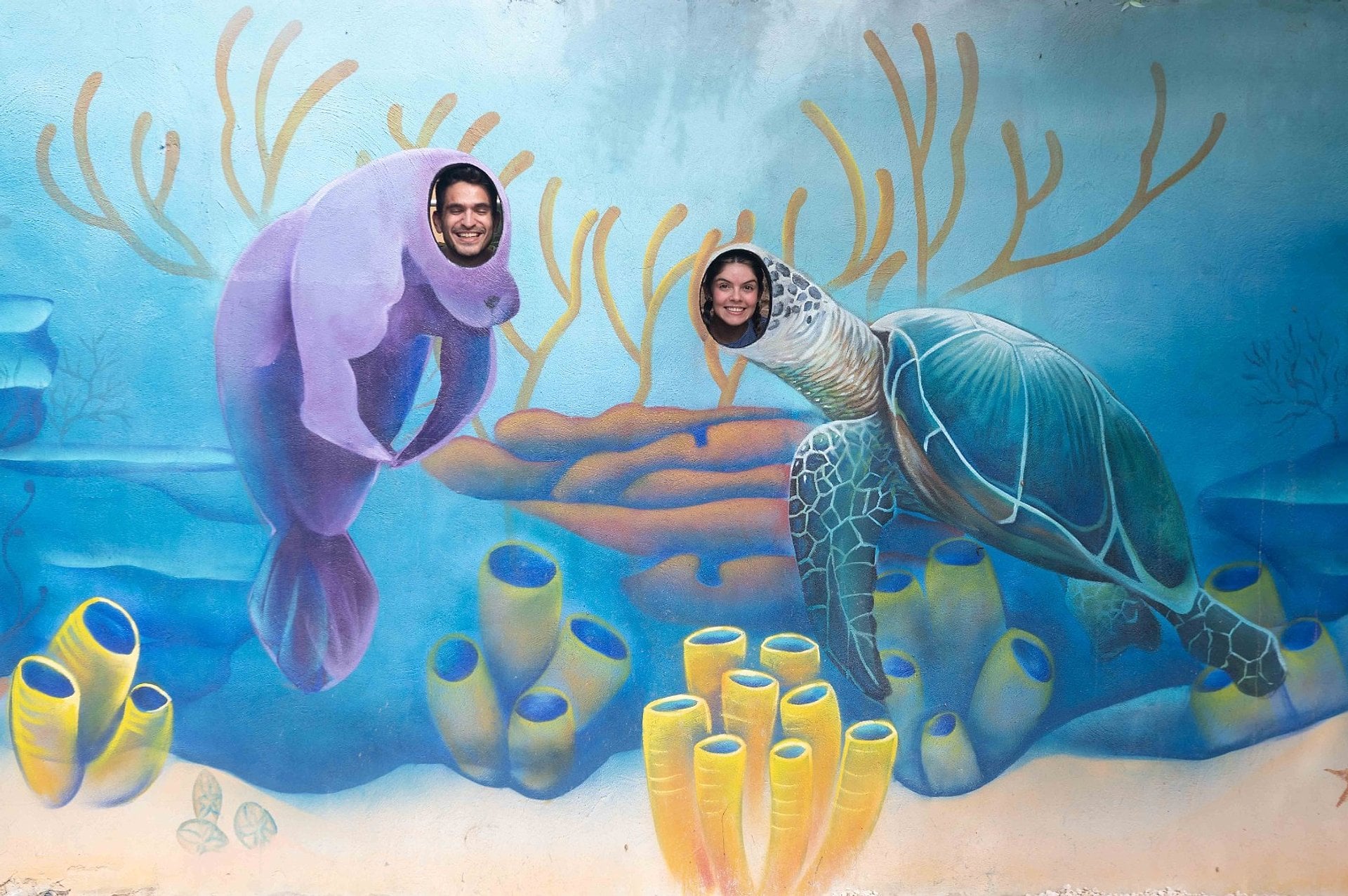 Combo Arte y Camino del Bosque - Imagen 4