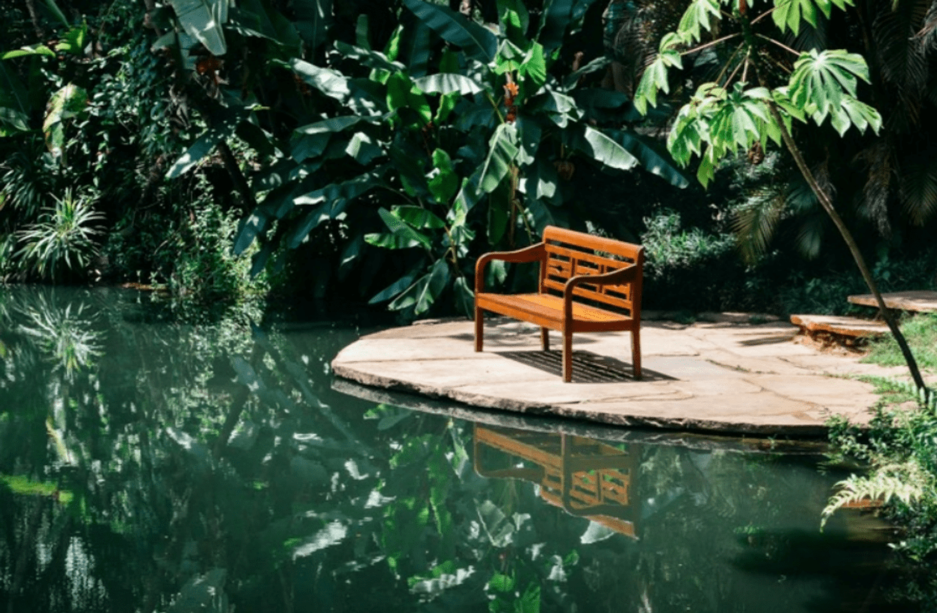 Tour a Inhotim - Imagen 3