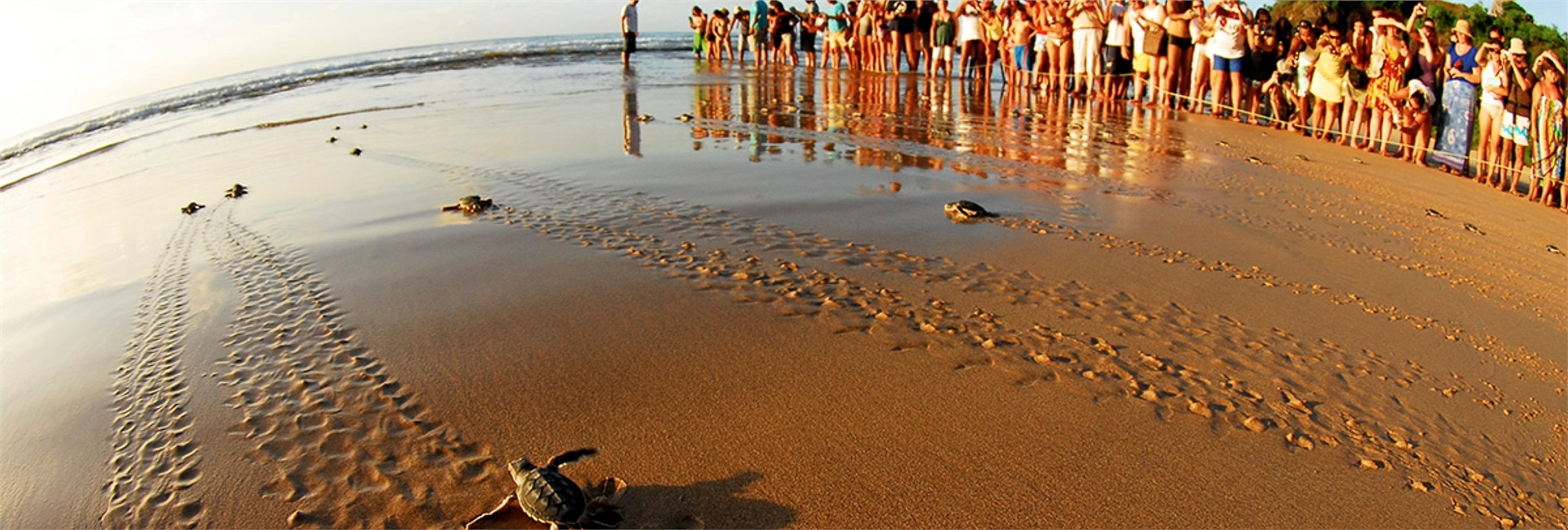 Tour Histórico a pie por Fernando de Noronha - Imagen 3