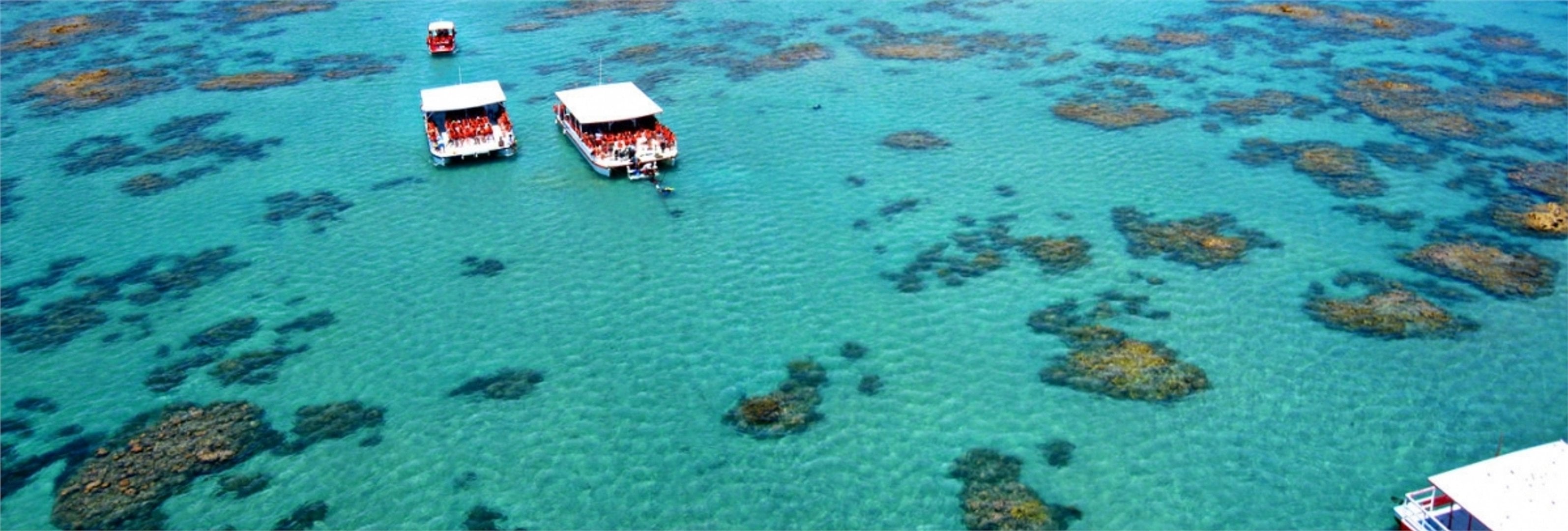 Tour Playa de Maracajaú - Imagen 3