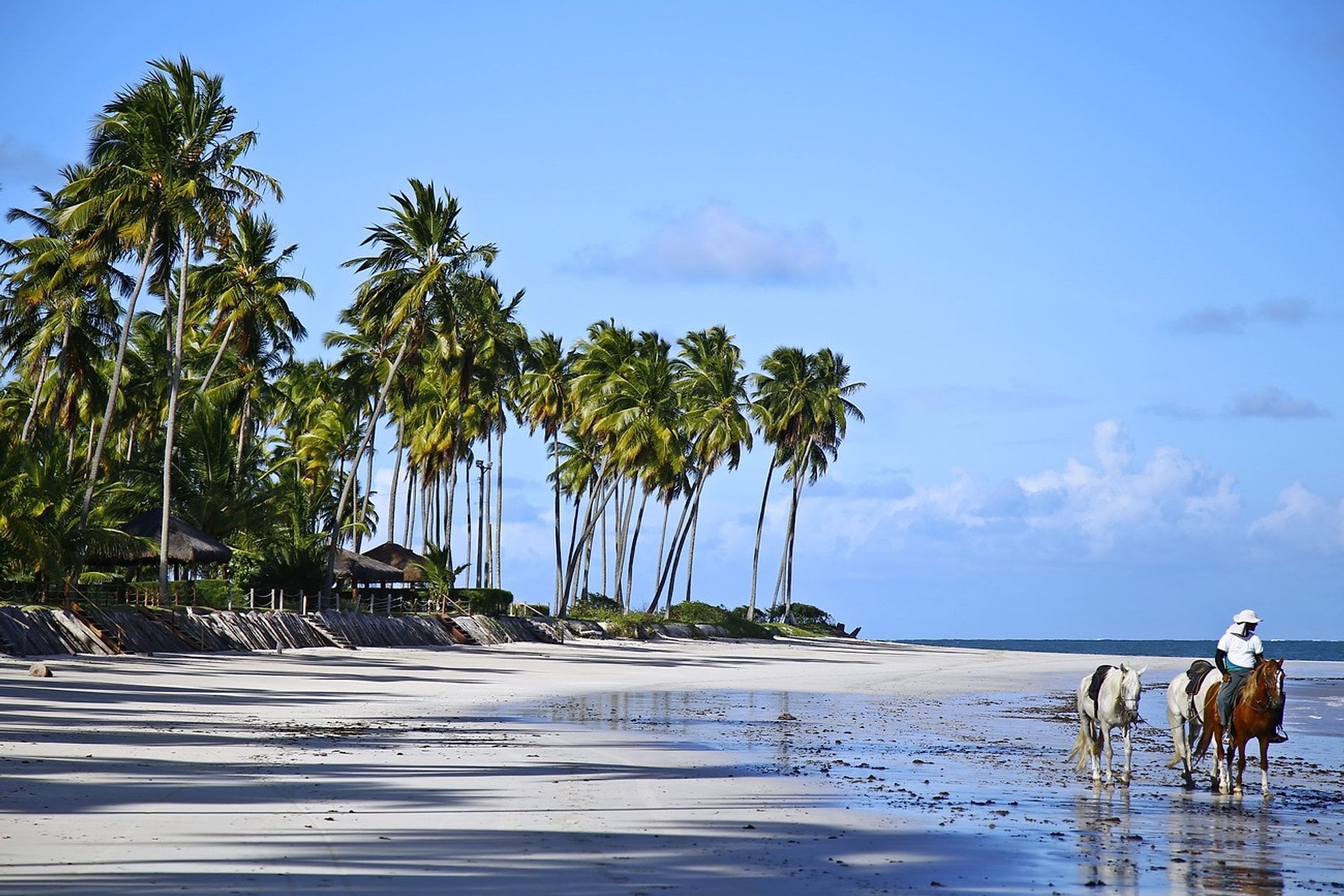 Tour a la Playa de Carneiros - Imagen 2