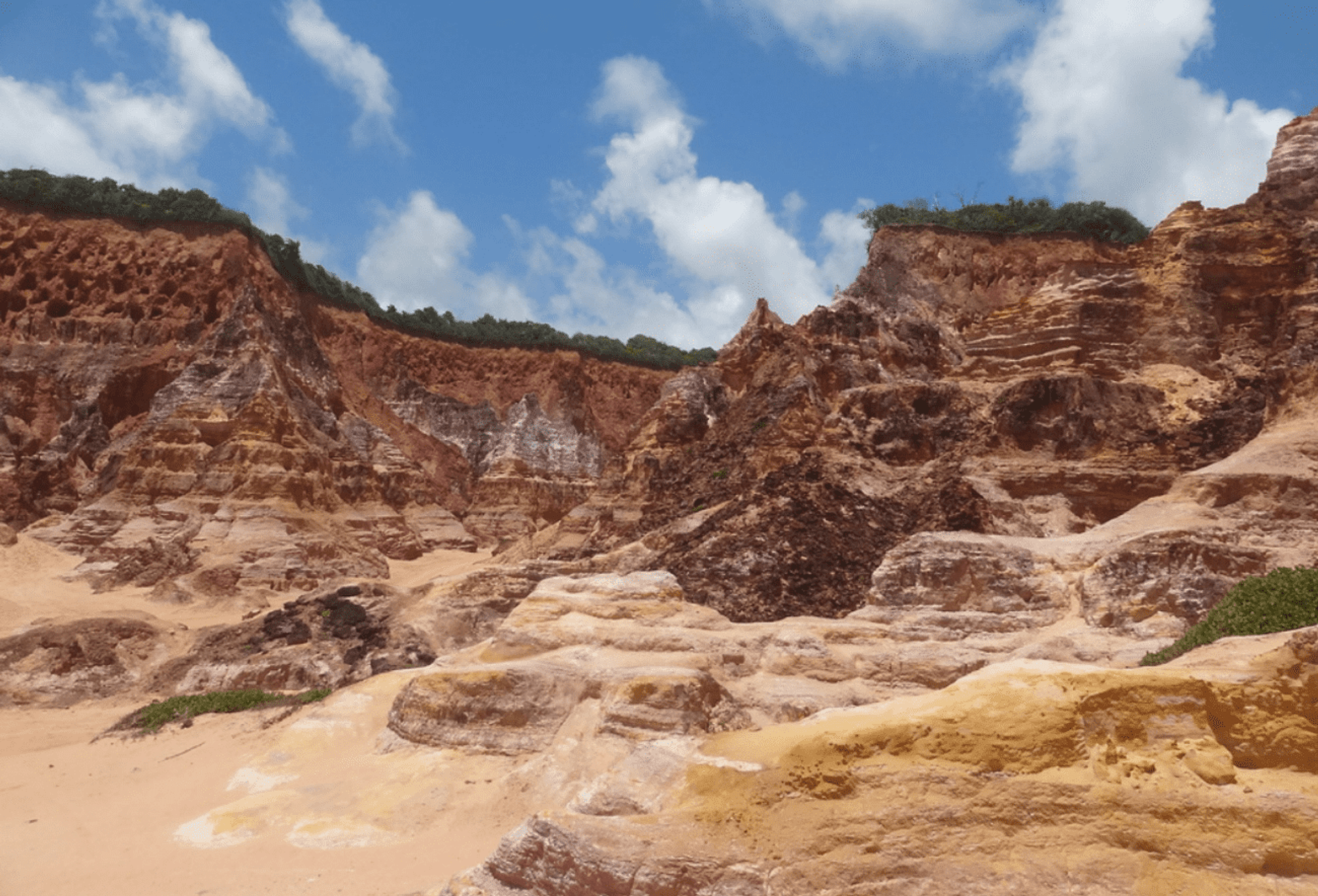 Tour Playa do Gunga - Imagen 3