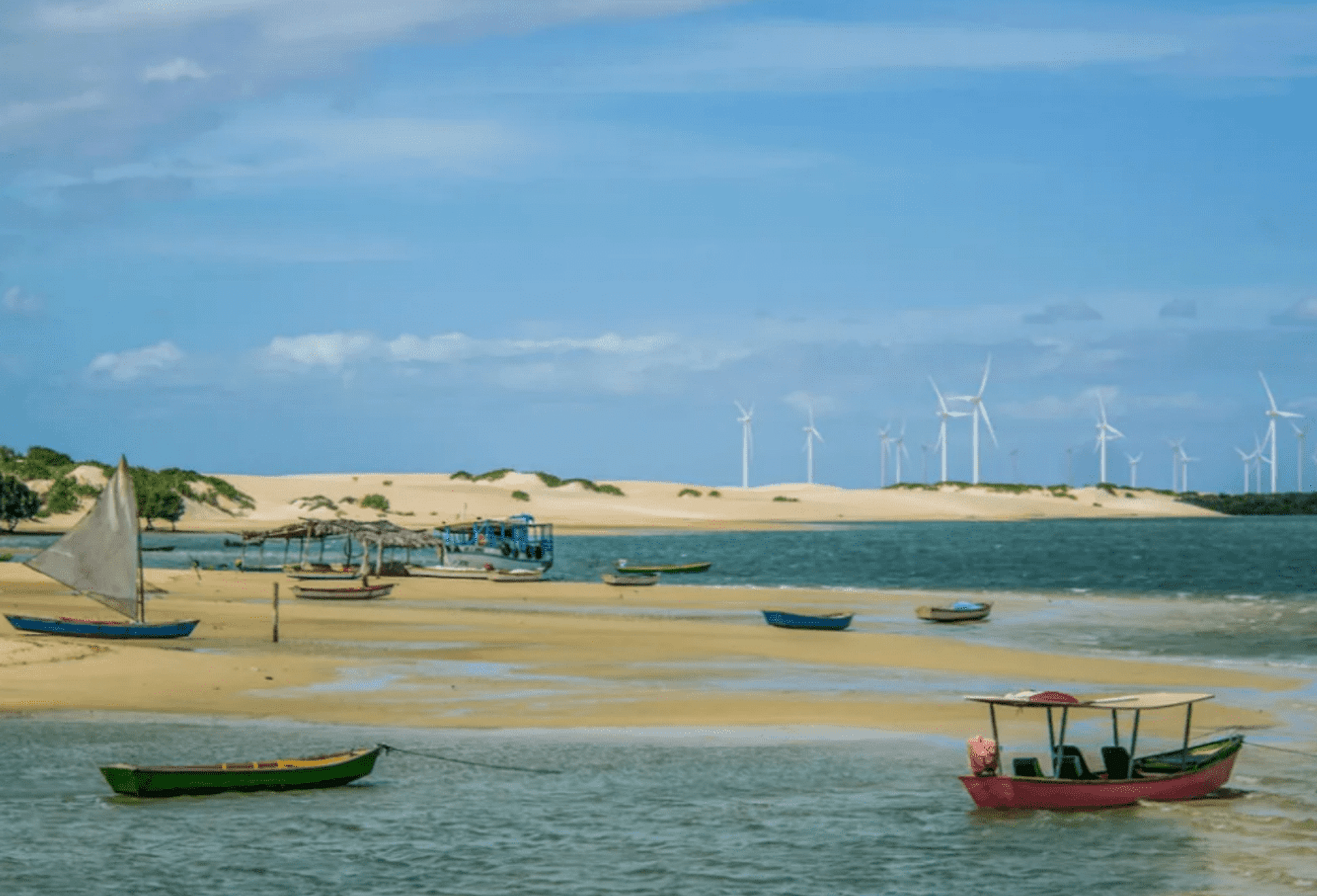 Paseo en barco a Playa de Galinhos - Imagen 4