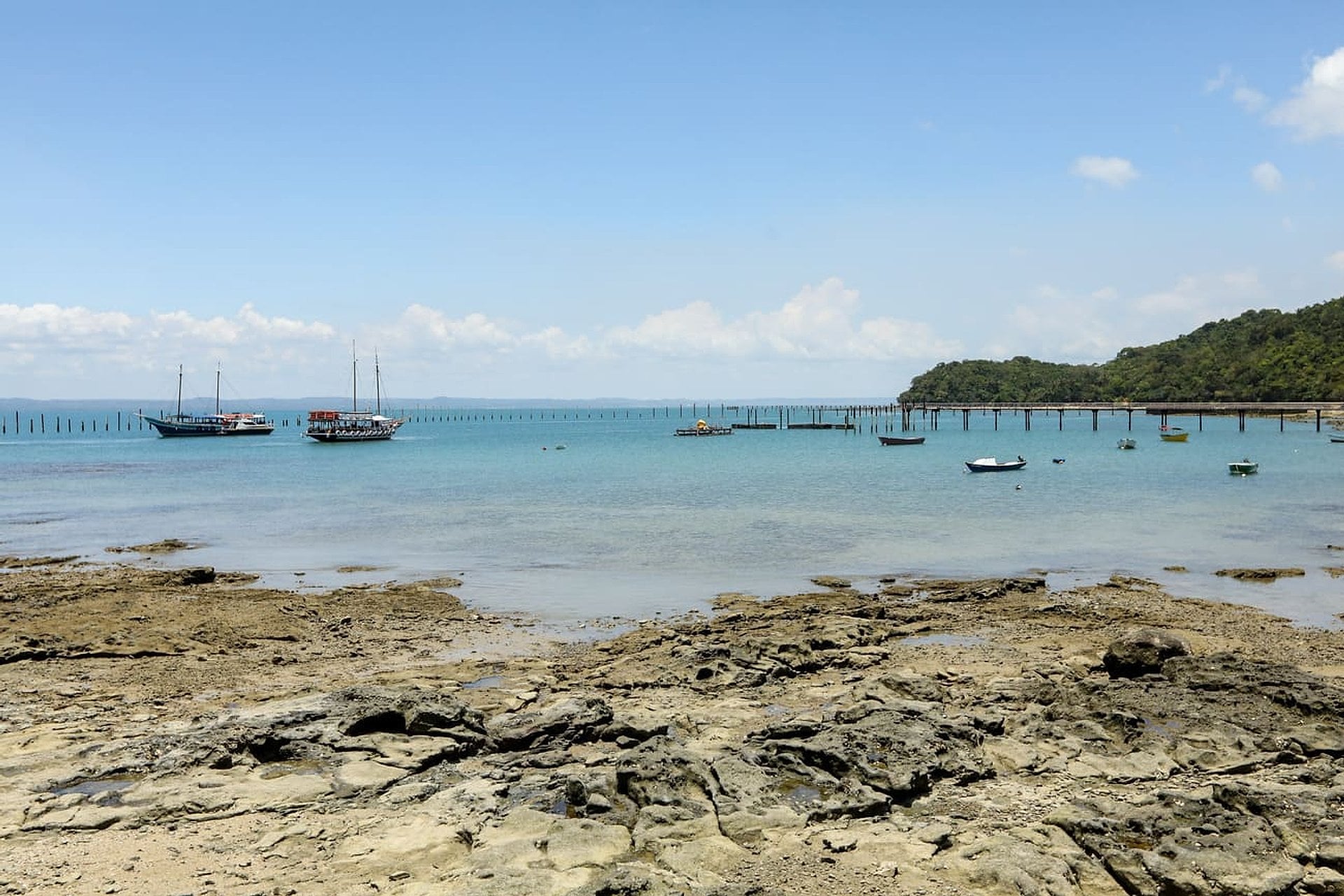 Tour Islas Tropicales - con almuerzo - Imagen 4