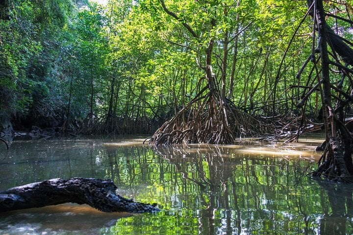 Phang Nga en canoa y Koh Khai - Imagen 2