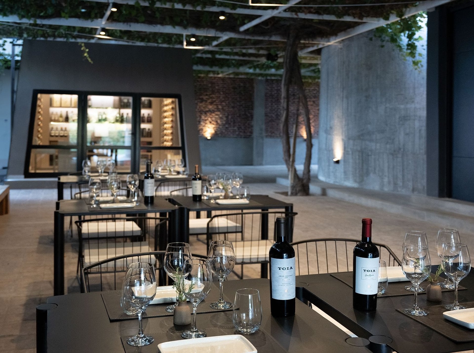 Bodega Putruele: degustación y maridaje - Imagen 4