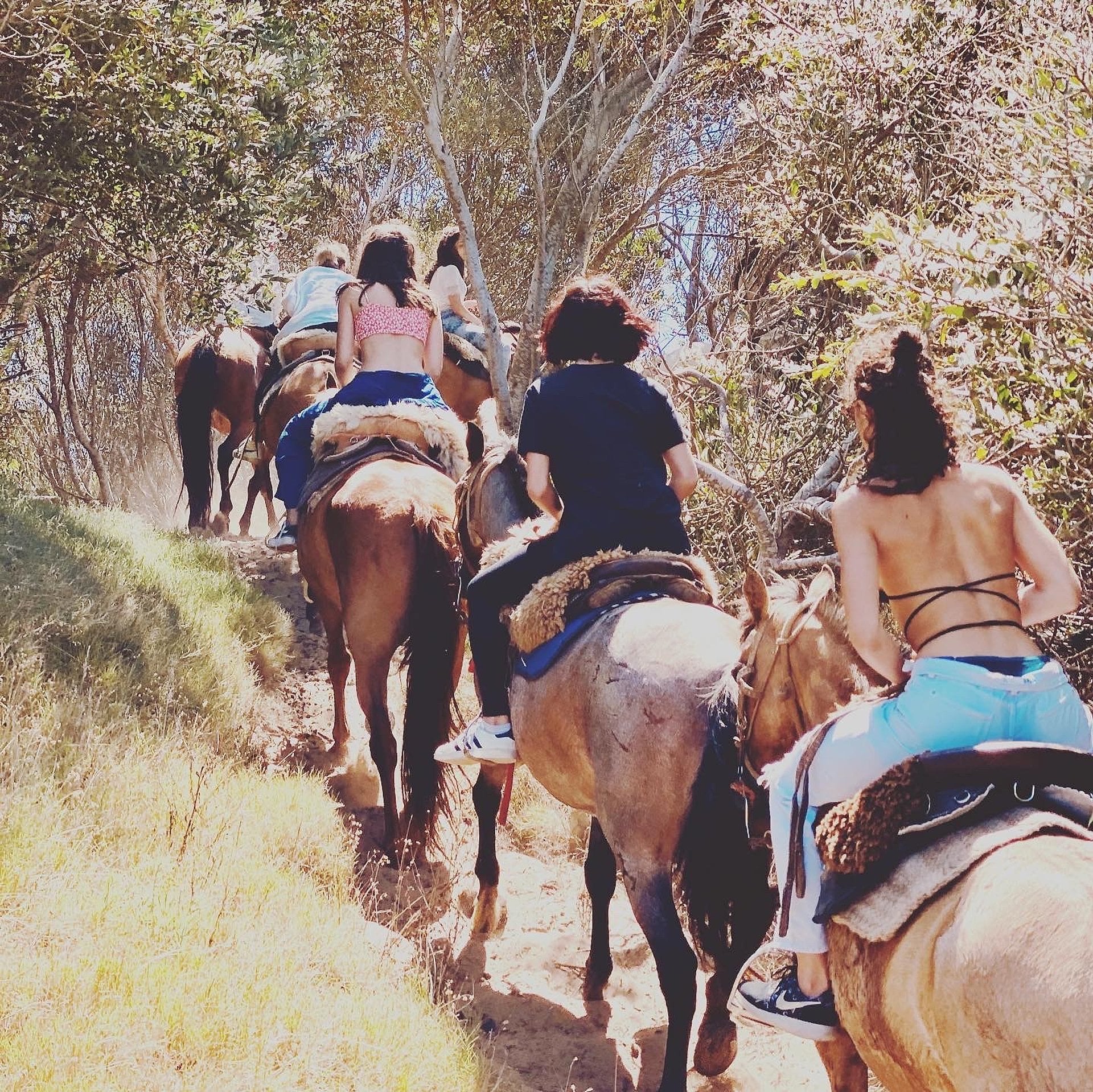 Cabalgata en la Playa - Imagen 3