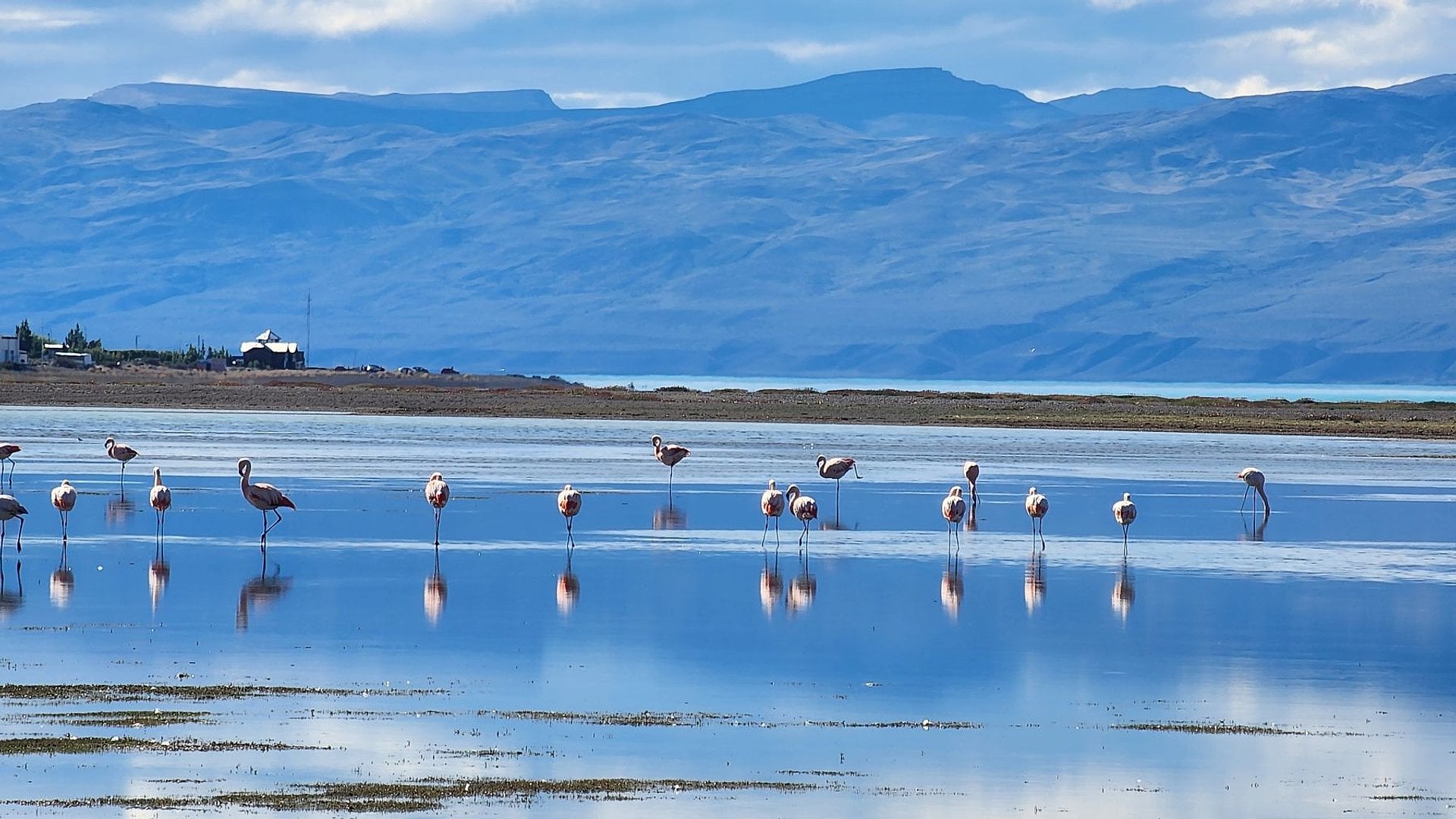 El Calafate, sus Paisajes y Sabores - Imagen 4