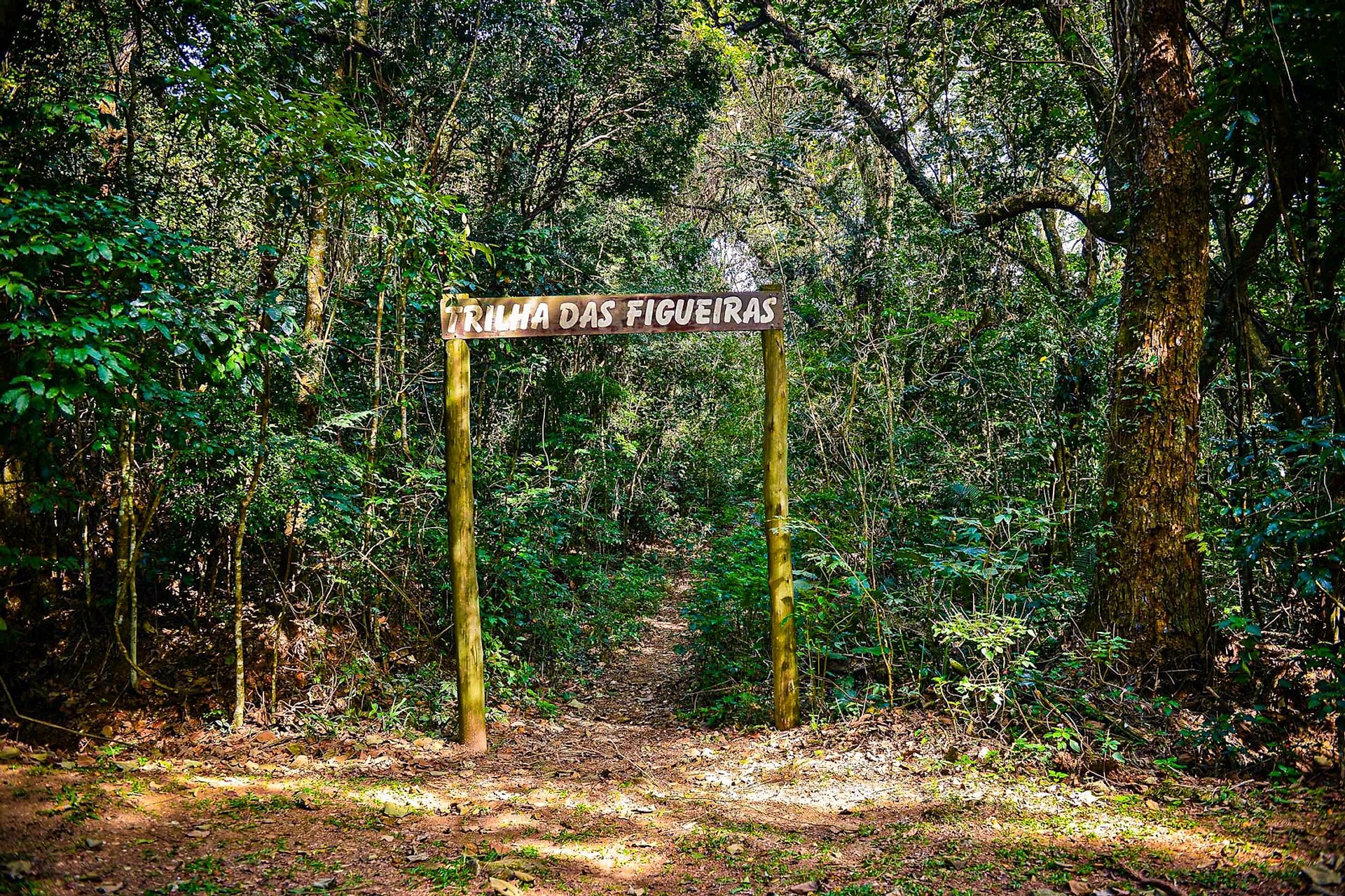 Tour ecológico Parque Estatal Cantareira - Imagen 4